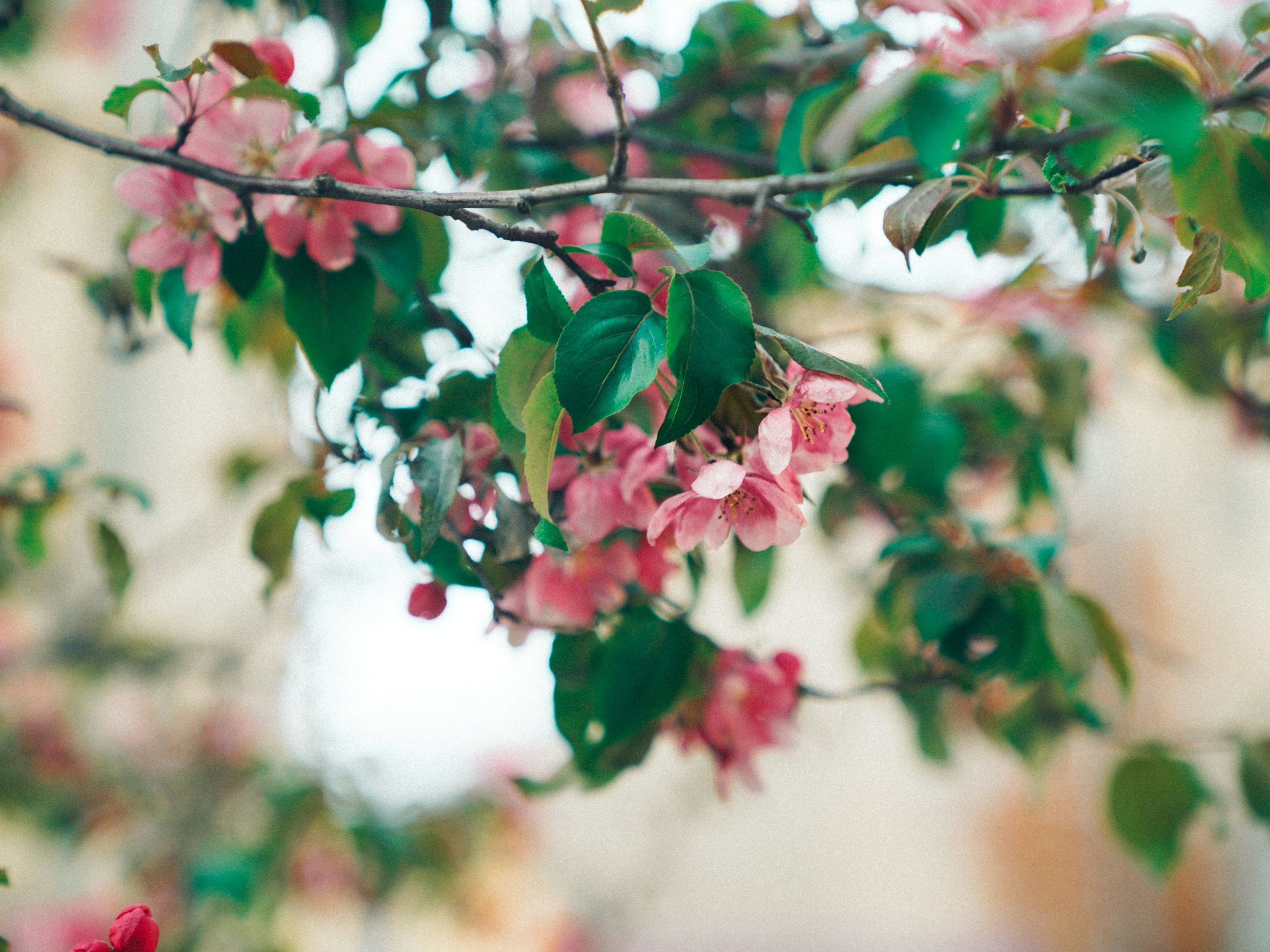 Photo by mineral_of_demon