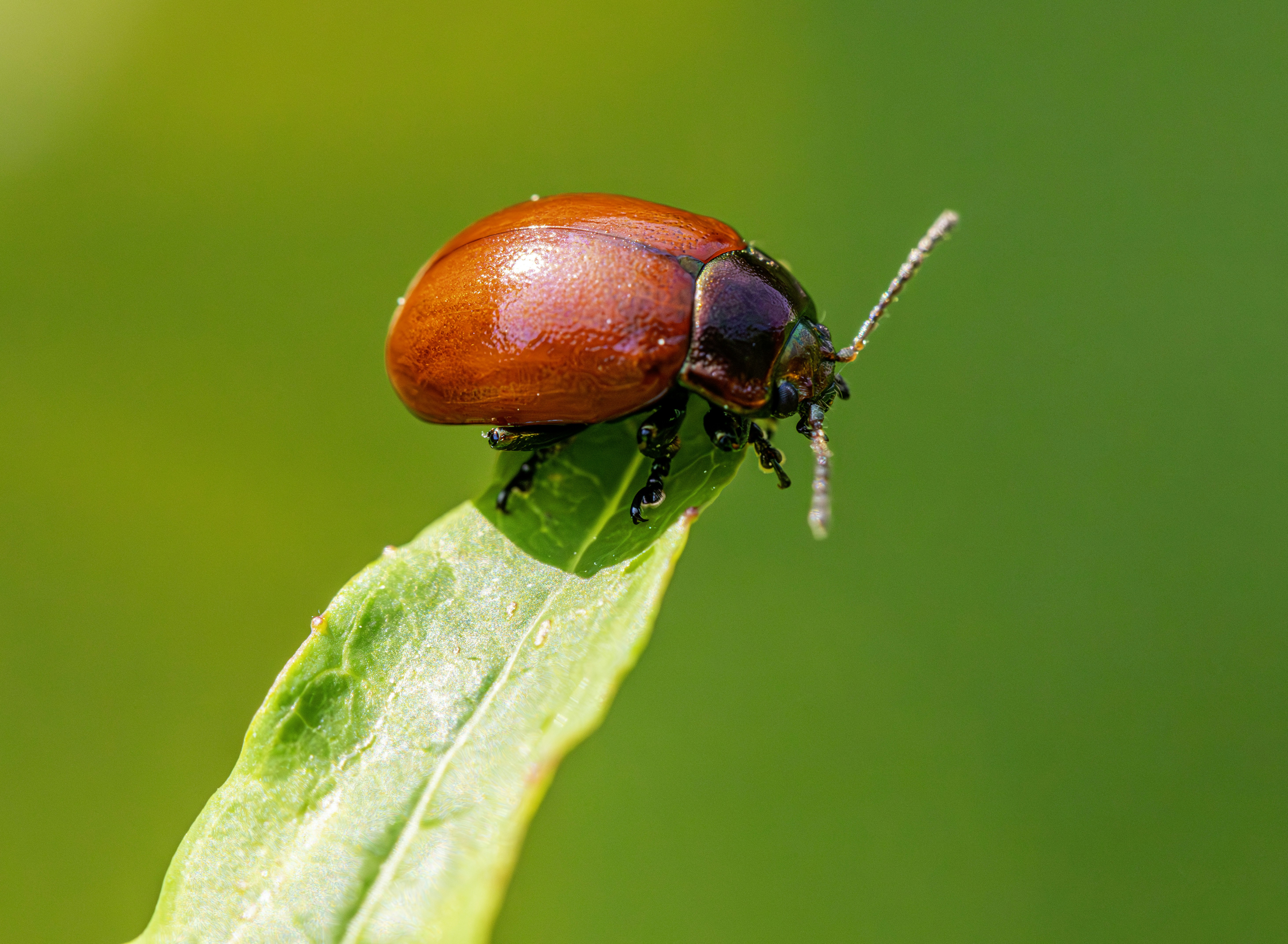 Photo by erik_karits