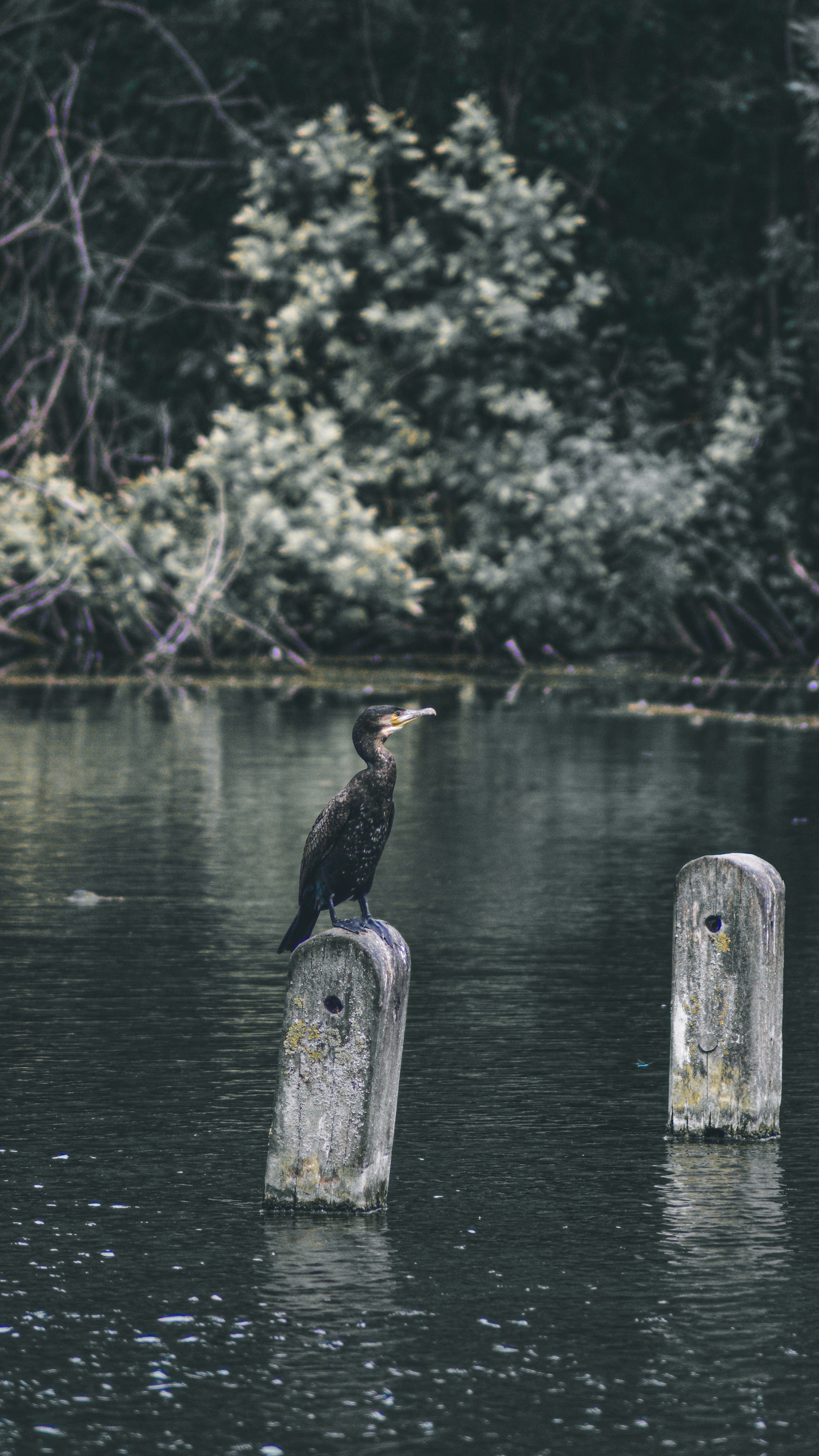 Photo by _mohamed_sajad_