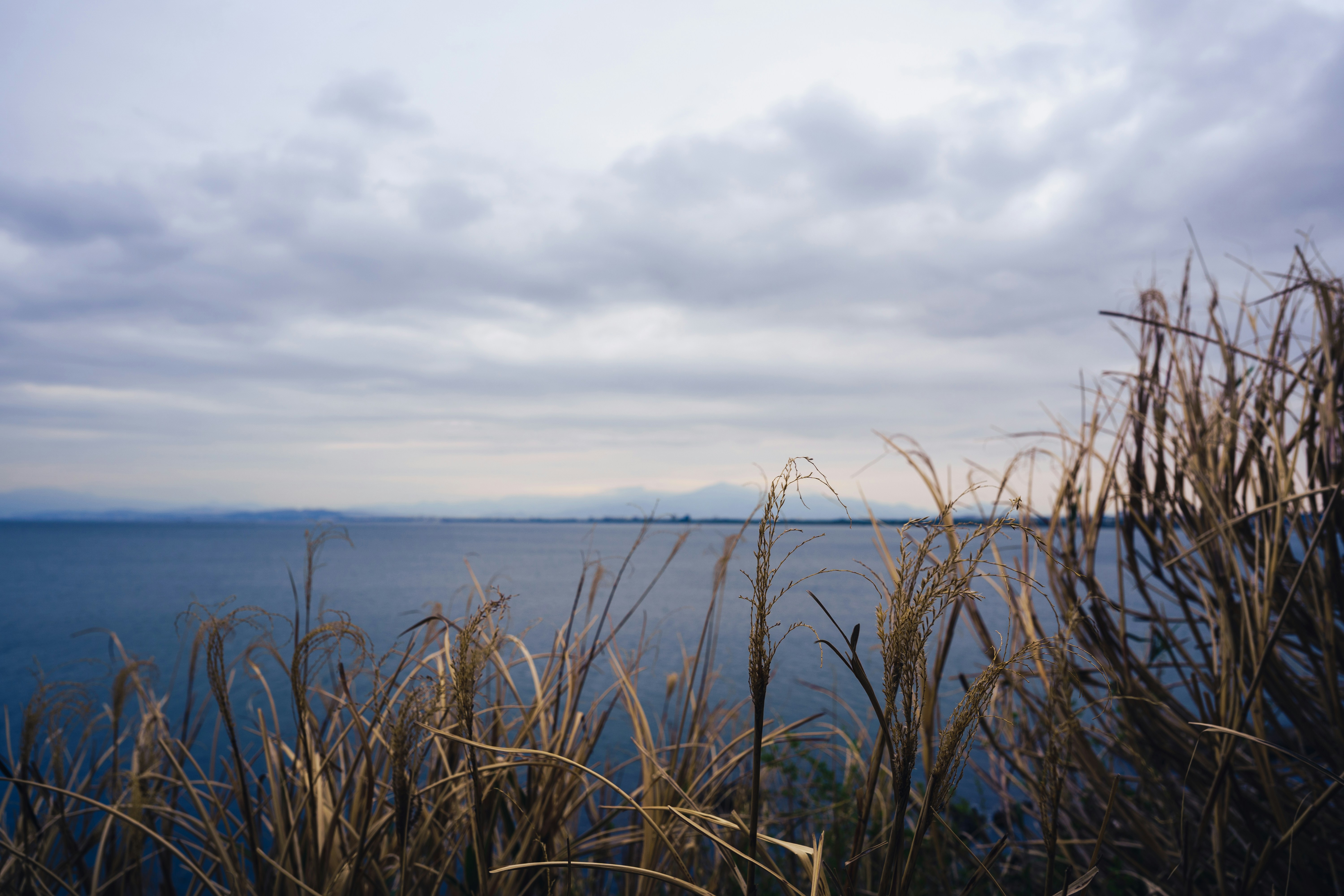 Photo by mirrors_are_more_fun