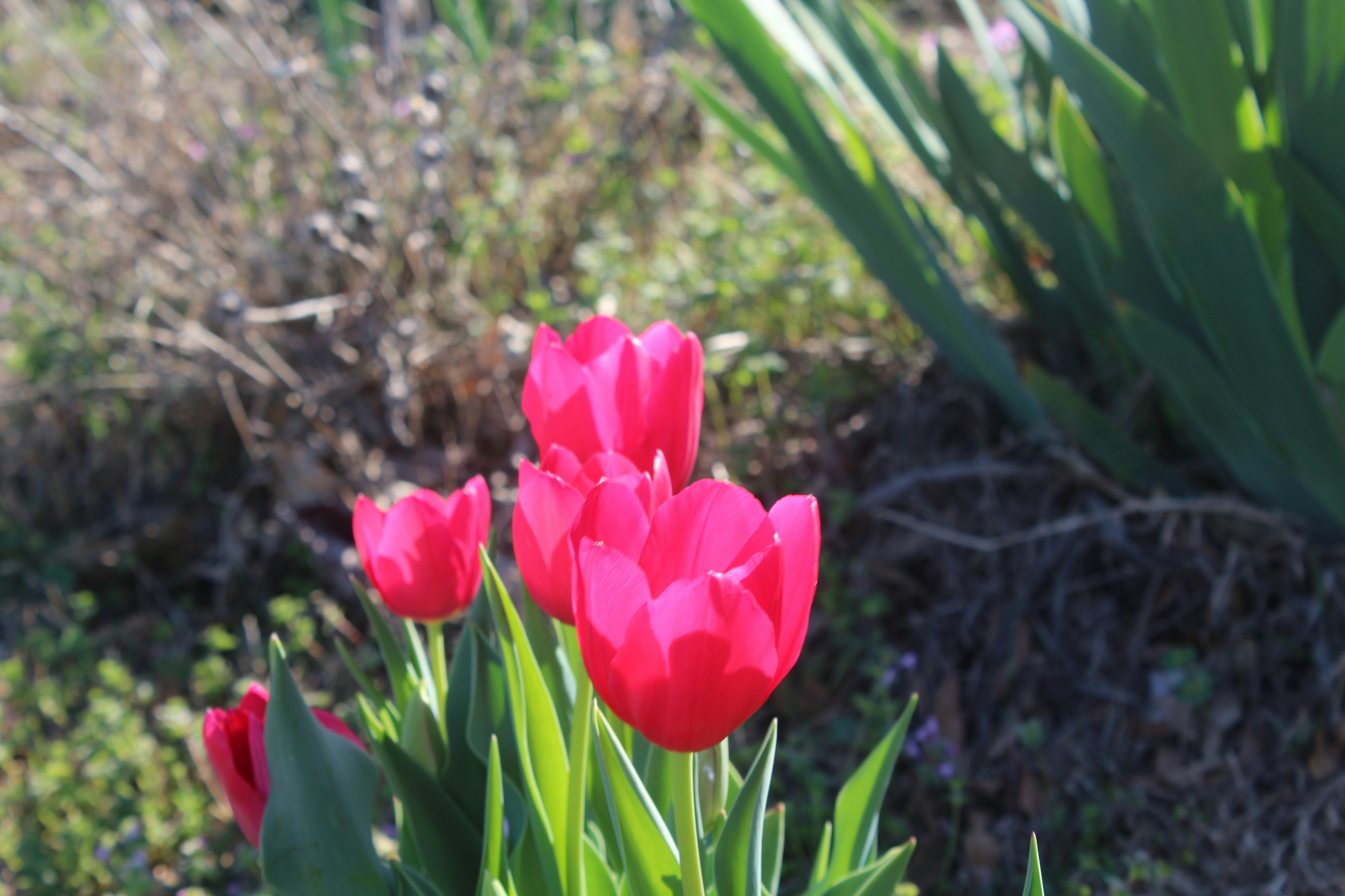 Photo by maday8171
