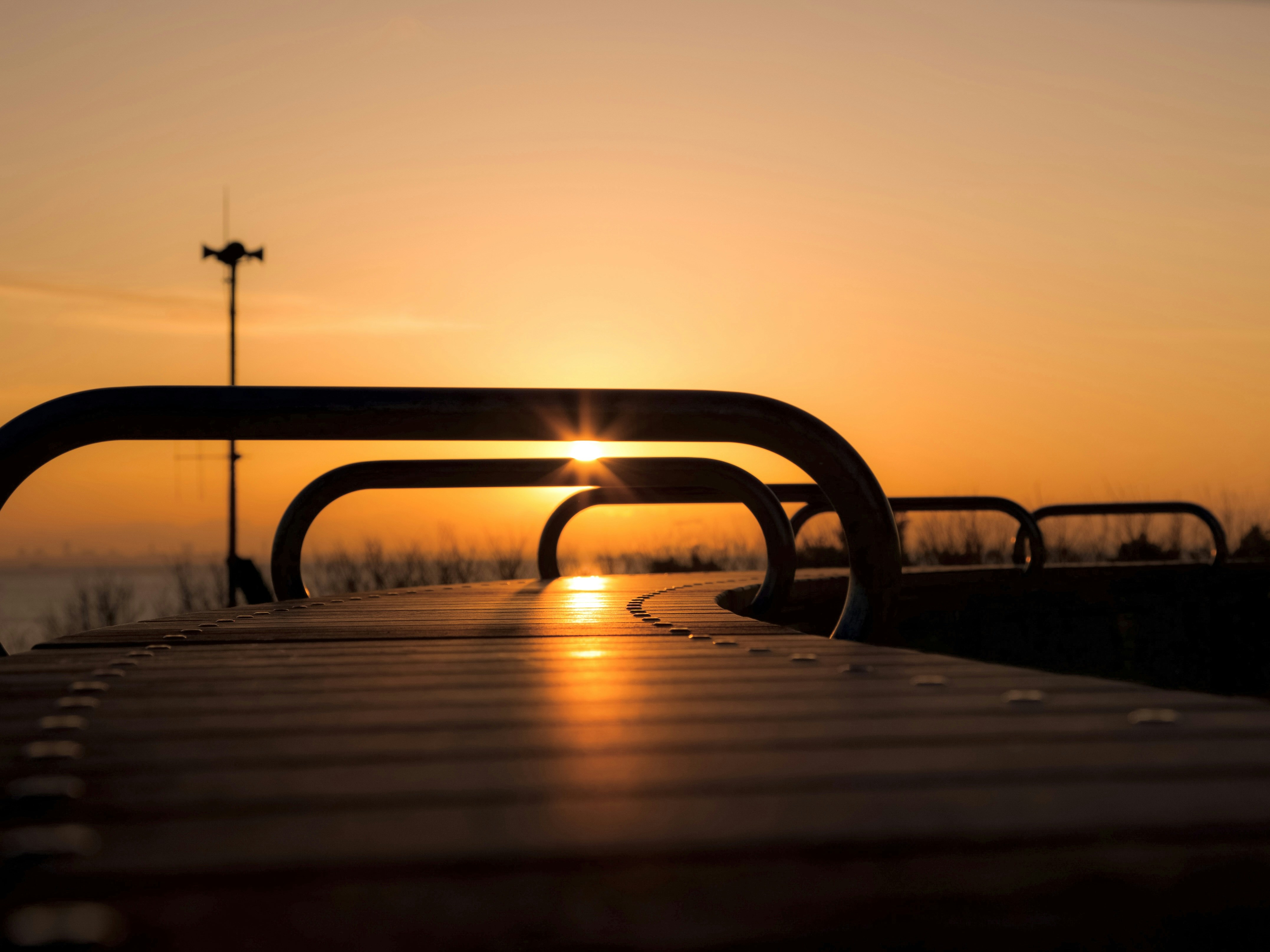 Sunset reflecting on curved benches.
