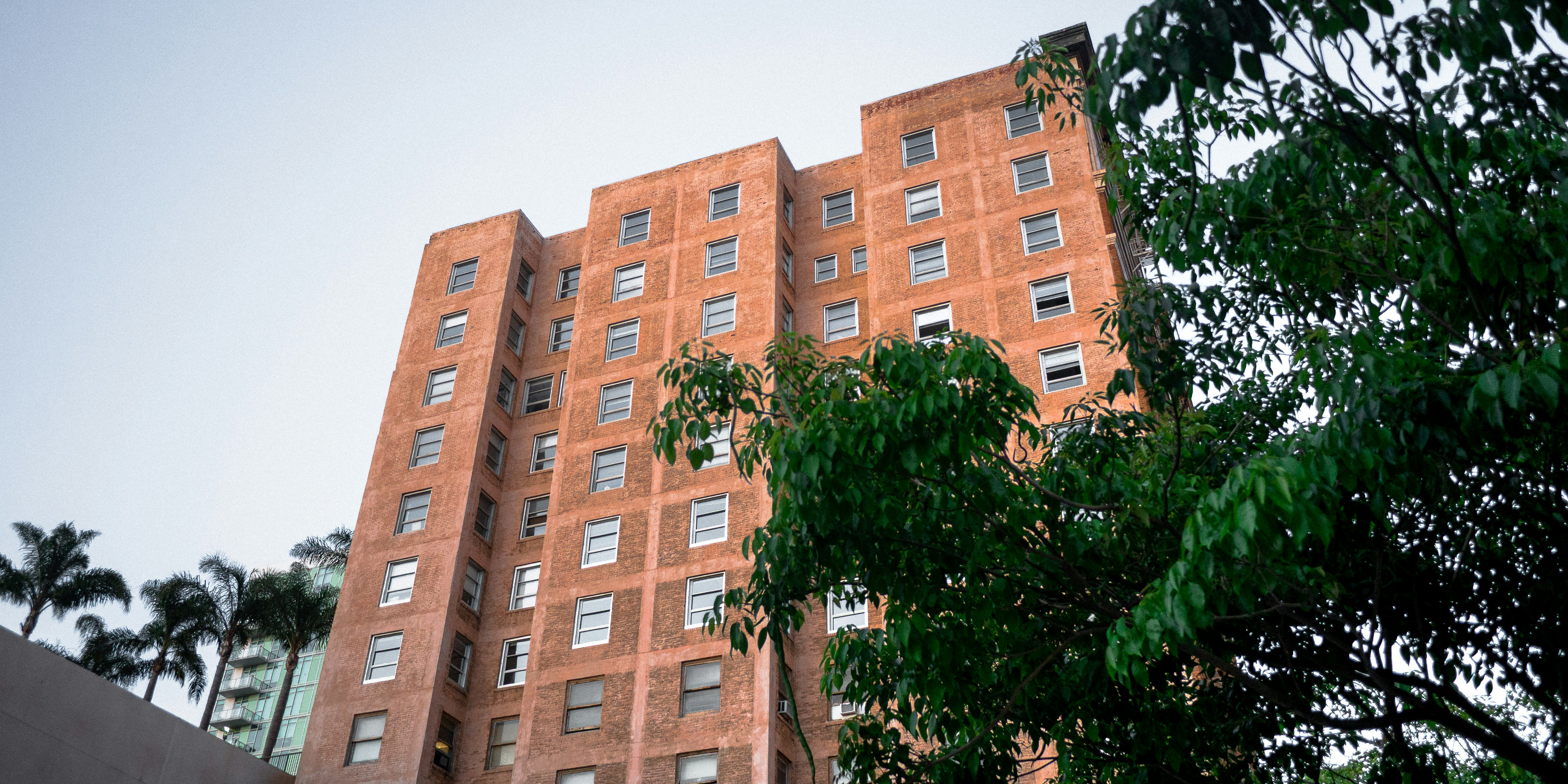 Photo by kingkonggeorge