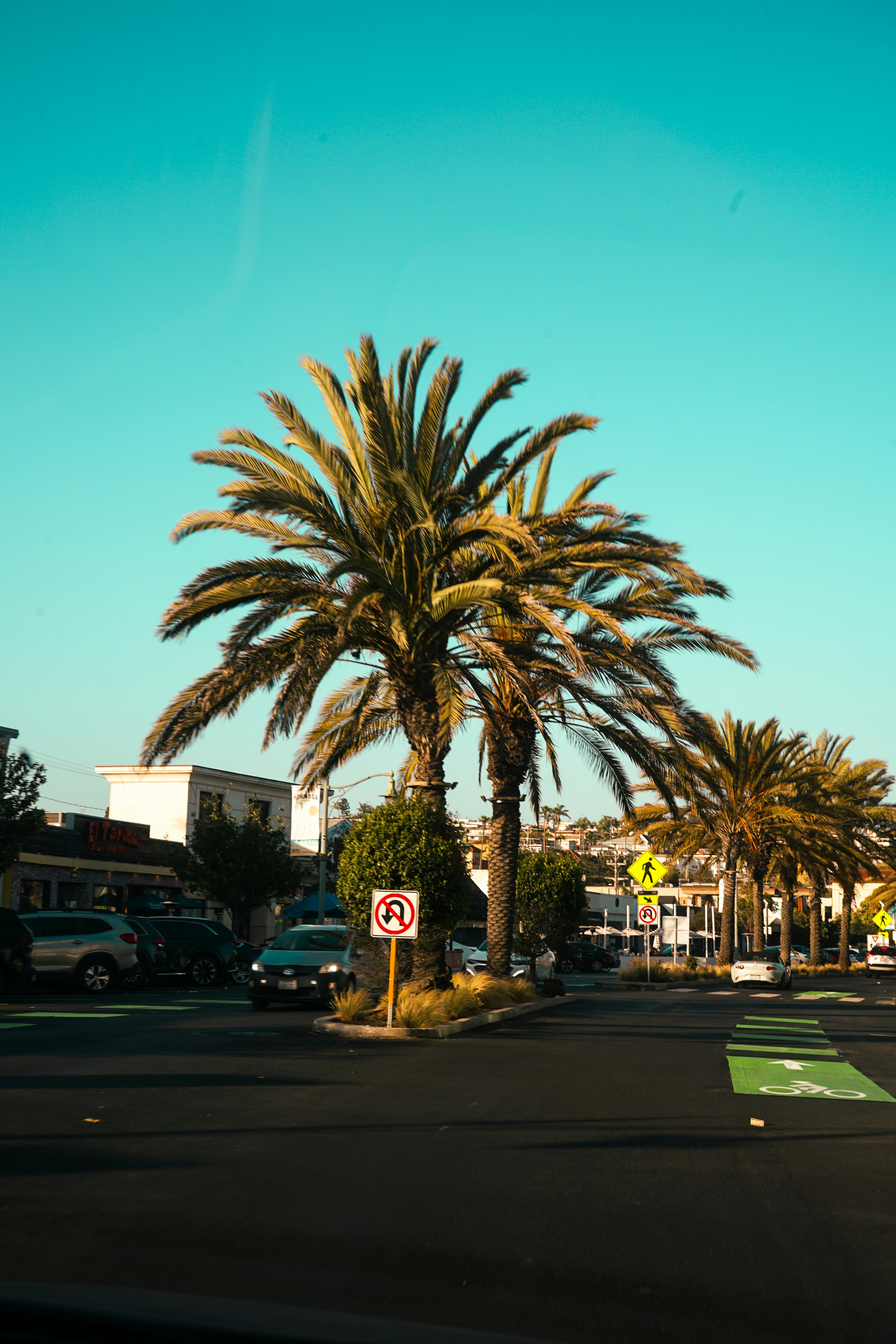 Photo by crisoabstract