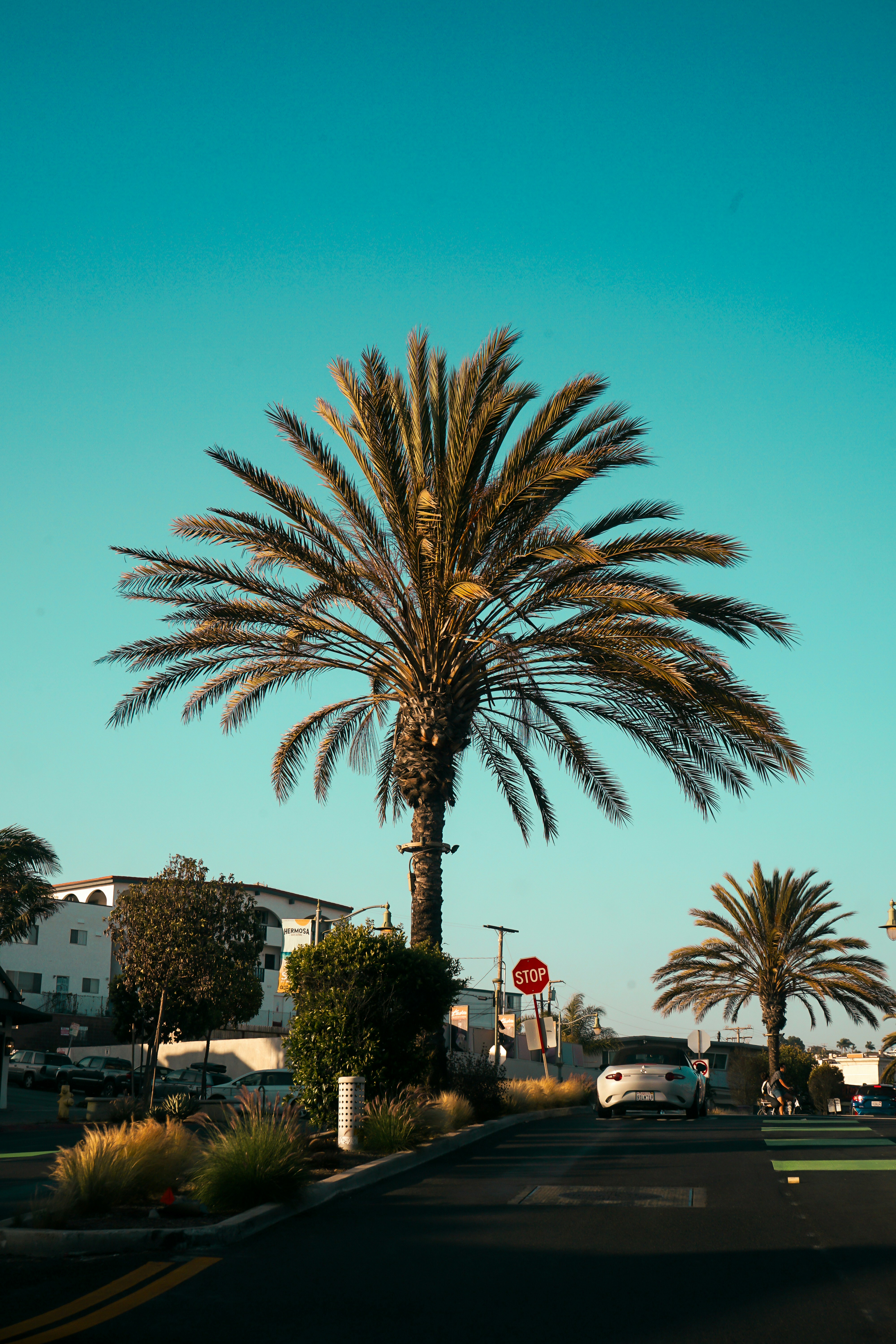 Photo by crisoabstract