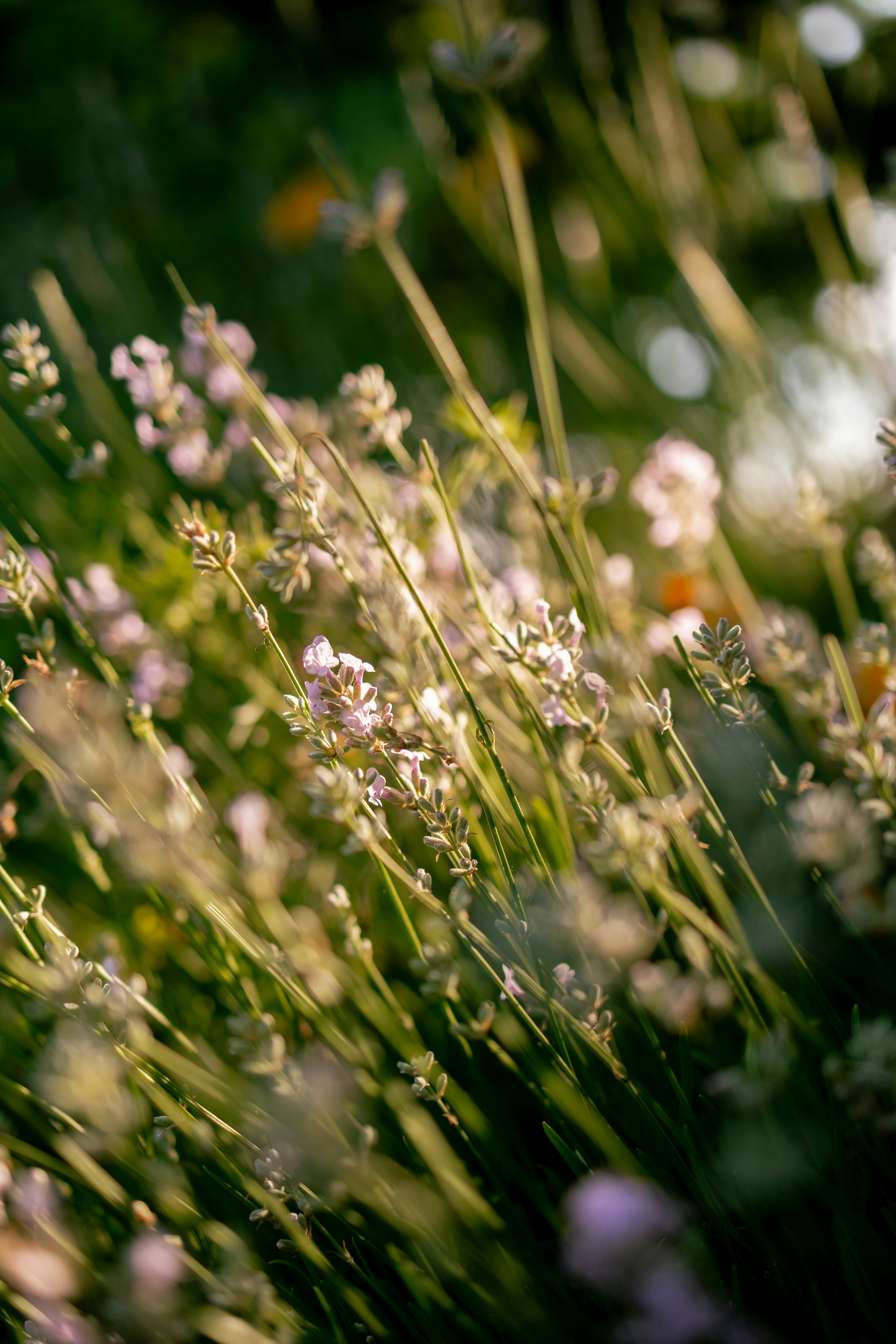 Photo by denimandrain