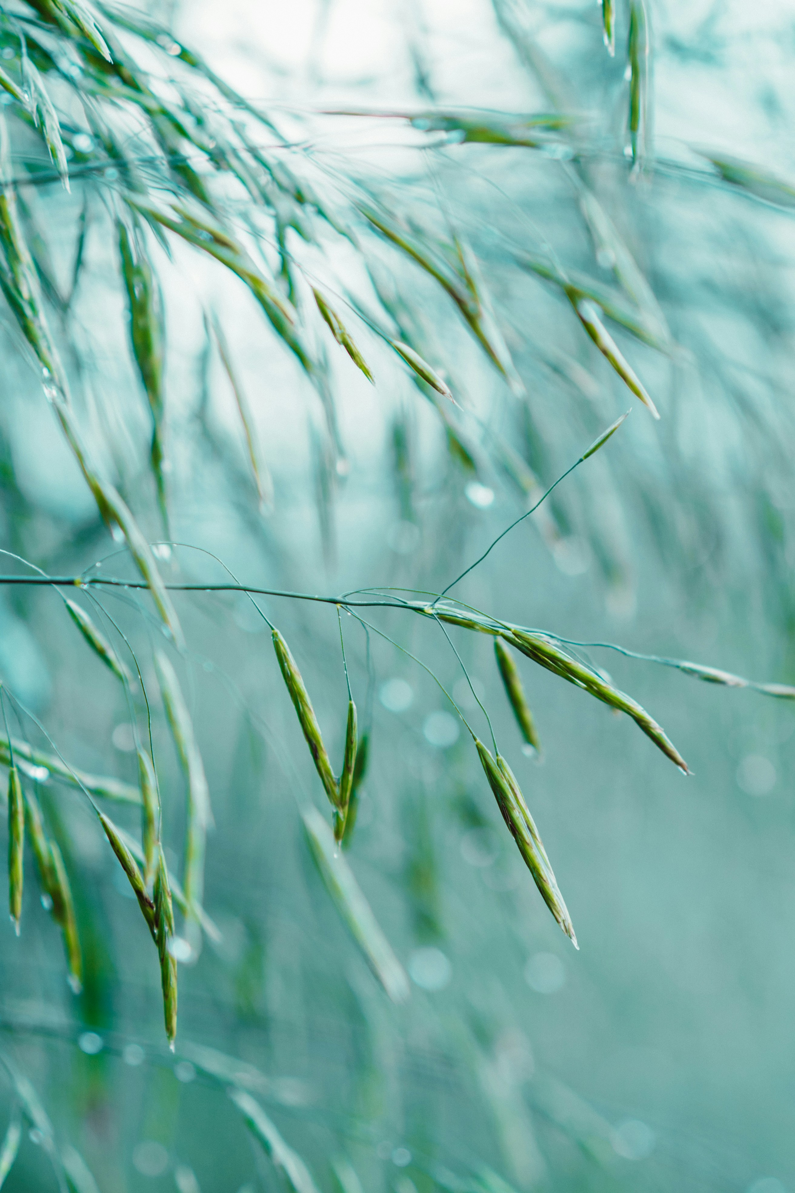 Photo by anamnesis33