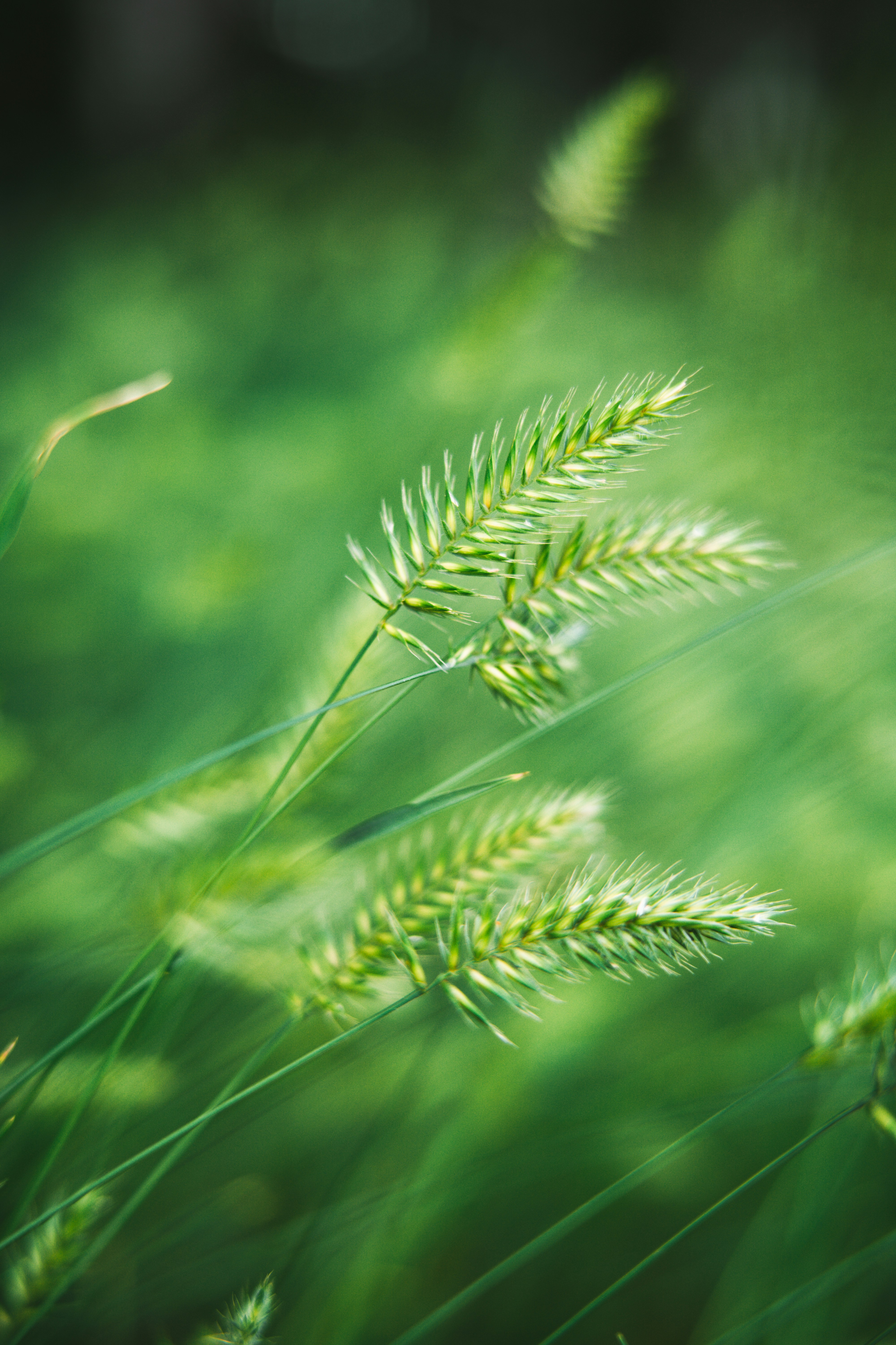 Photo by anamnesis33