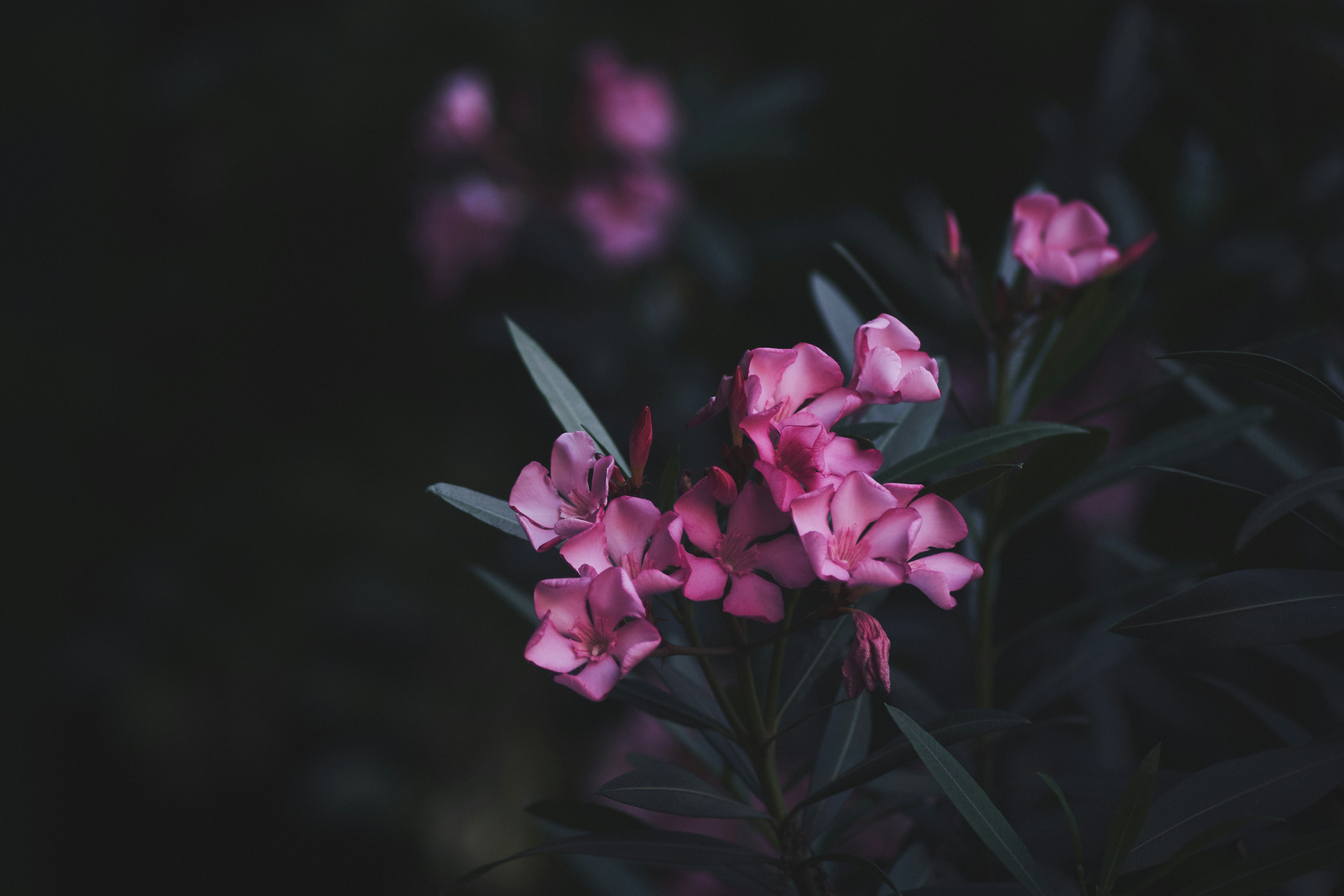 Photo by mikhailrepin