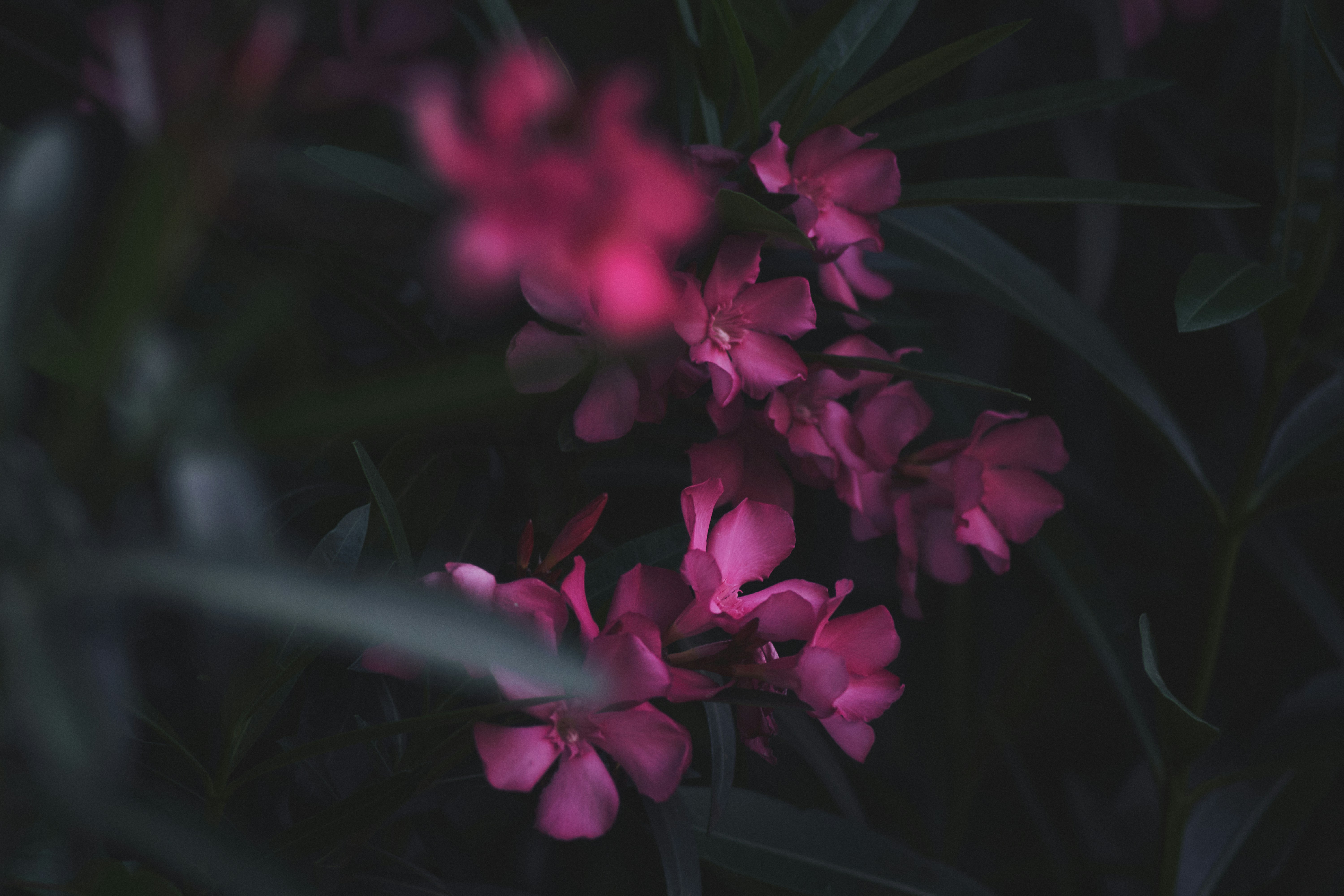 Photo by mikhailrepin