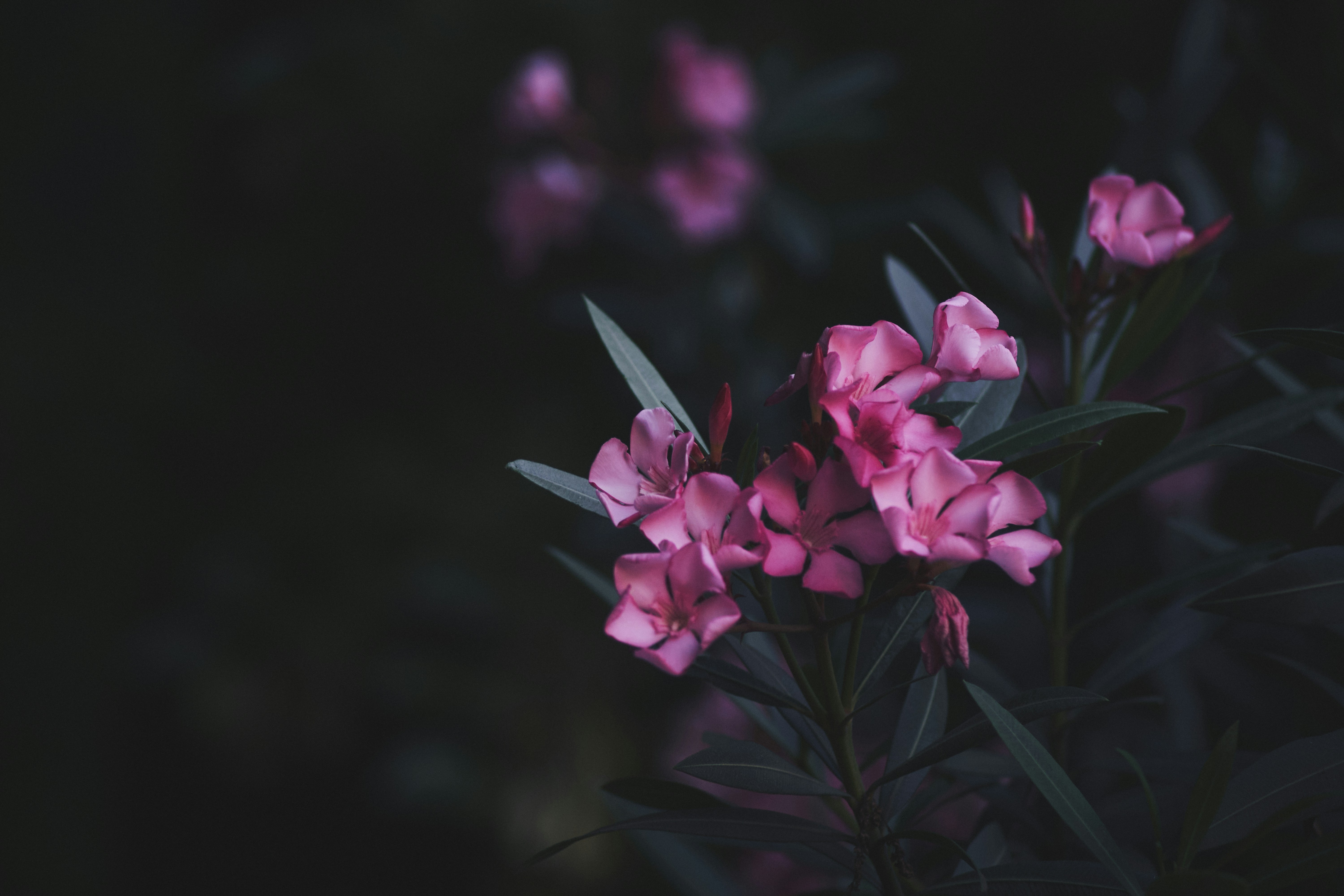 Photo by mikhailrepin