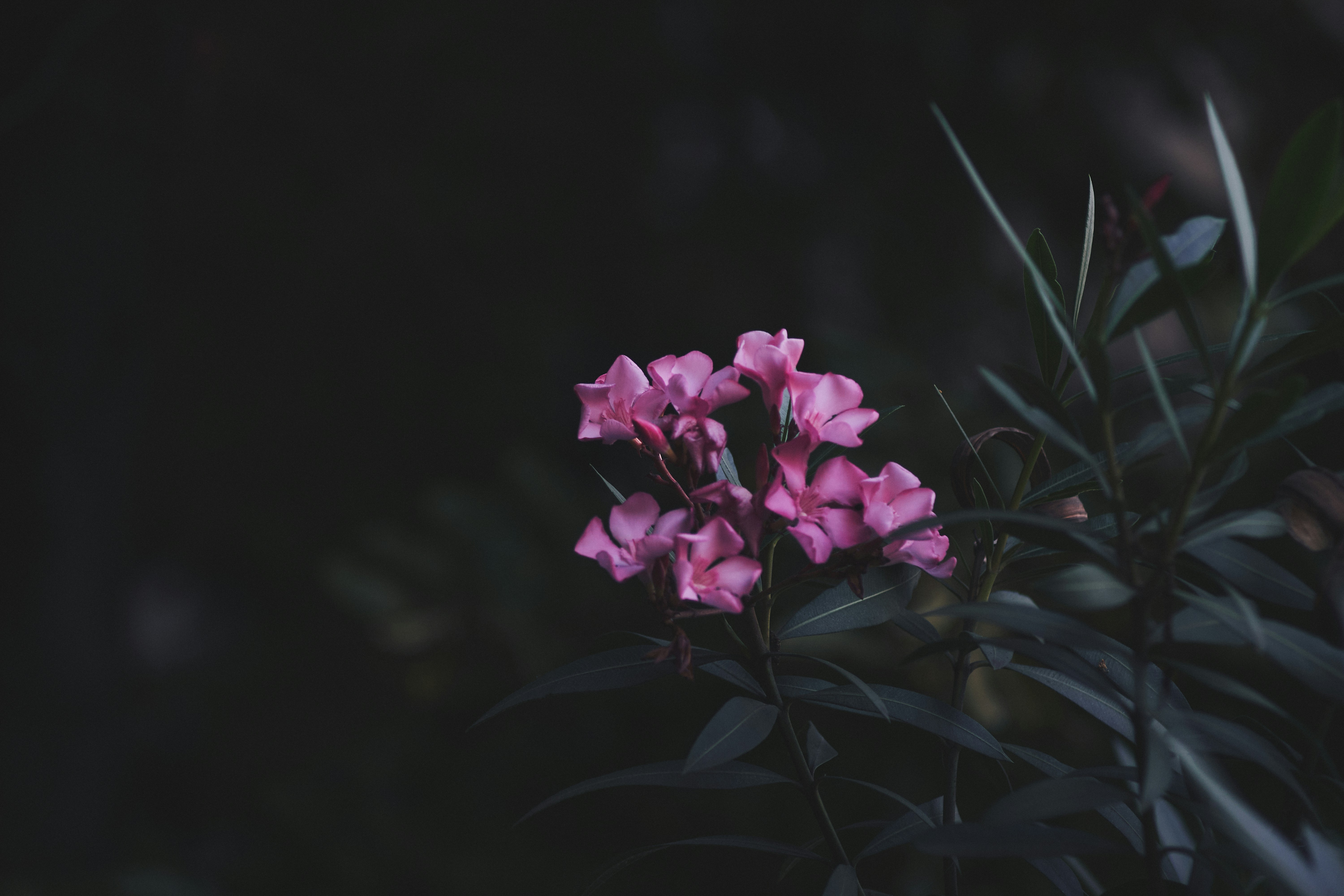 Photo by mikhailrepin