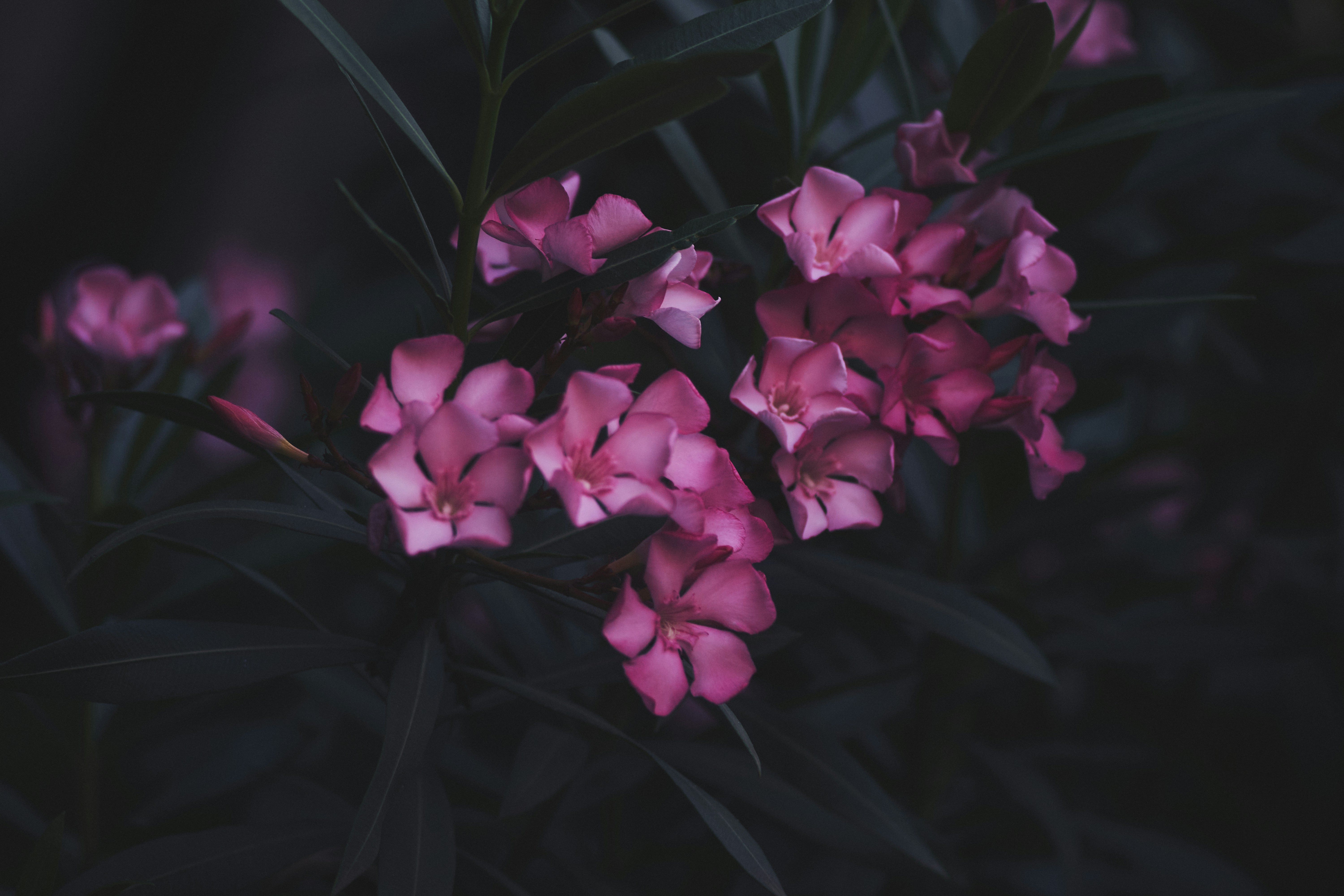 Photo by mikhailrepin