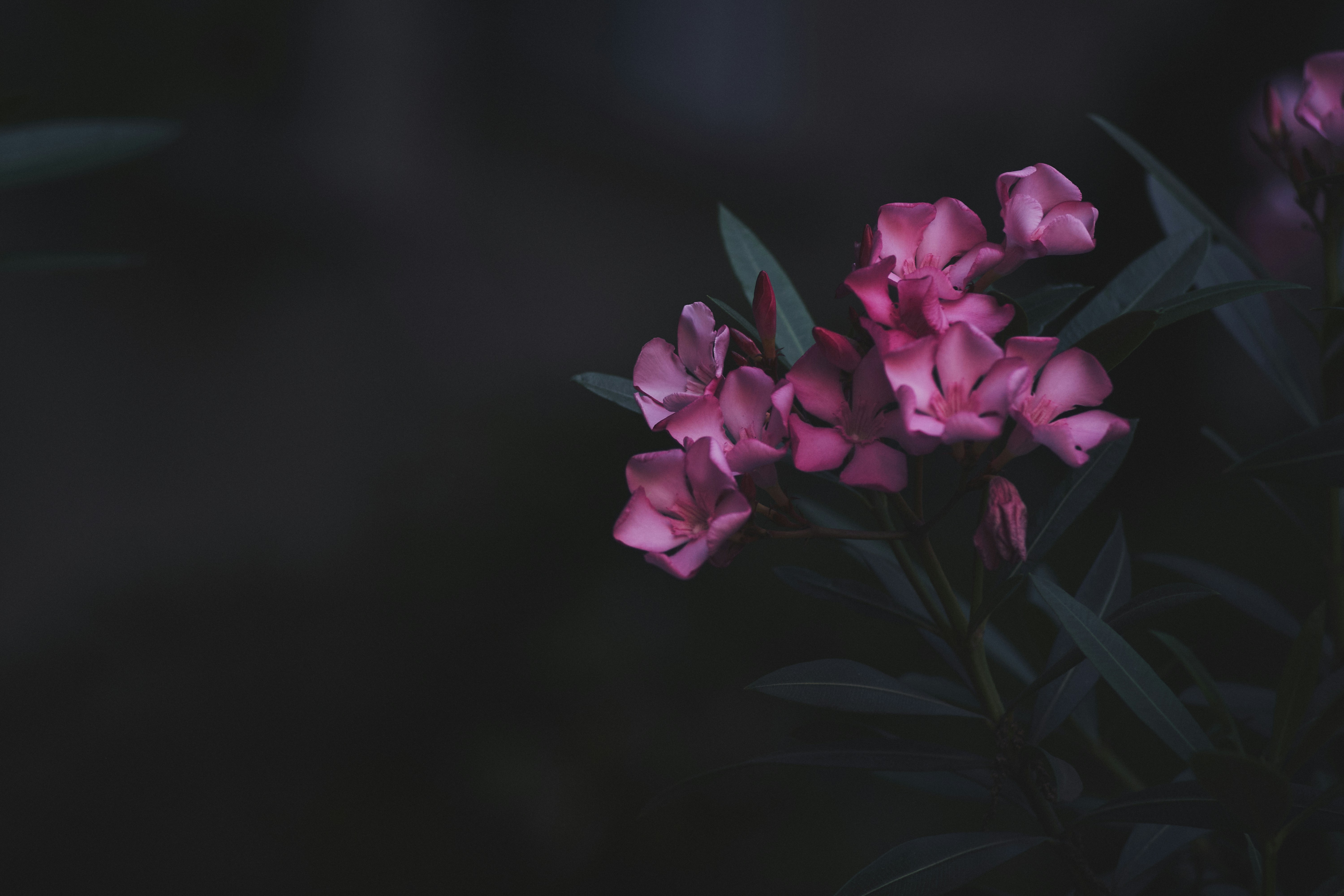 Photo by mikhailrepin