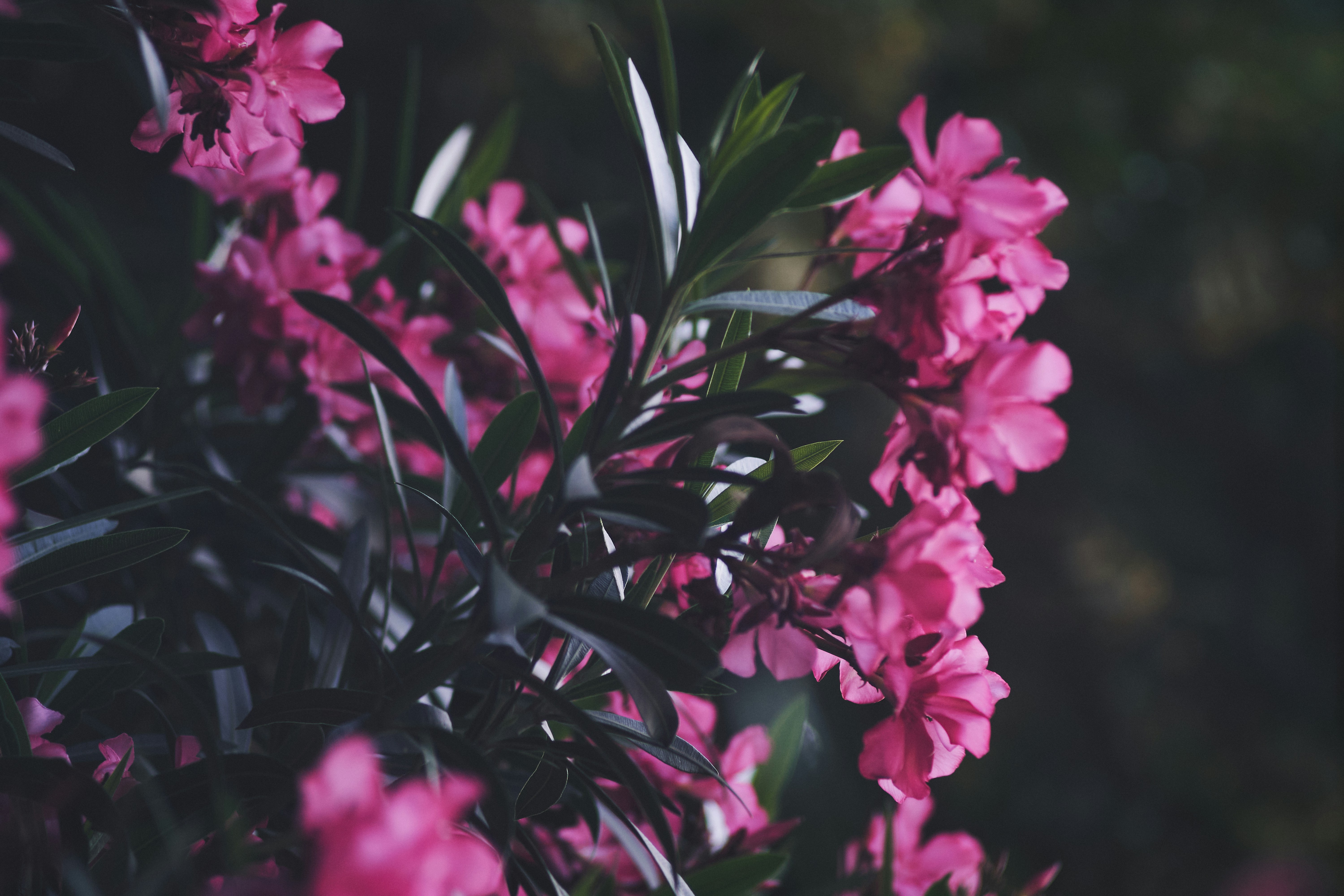 Photo by mikhailrepin