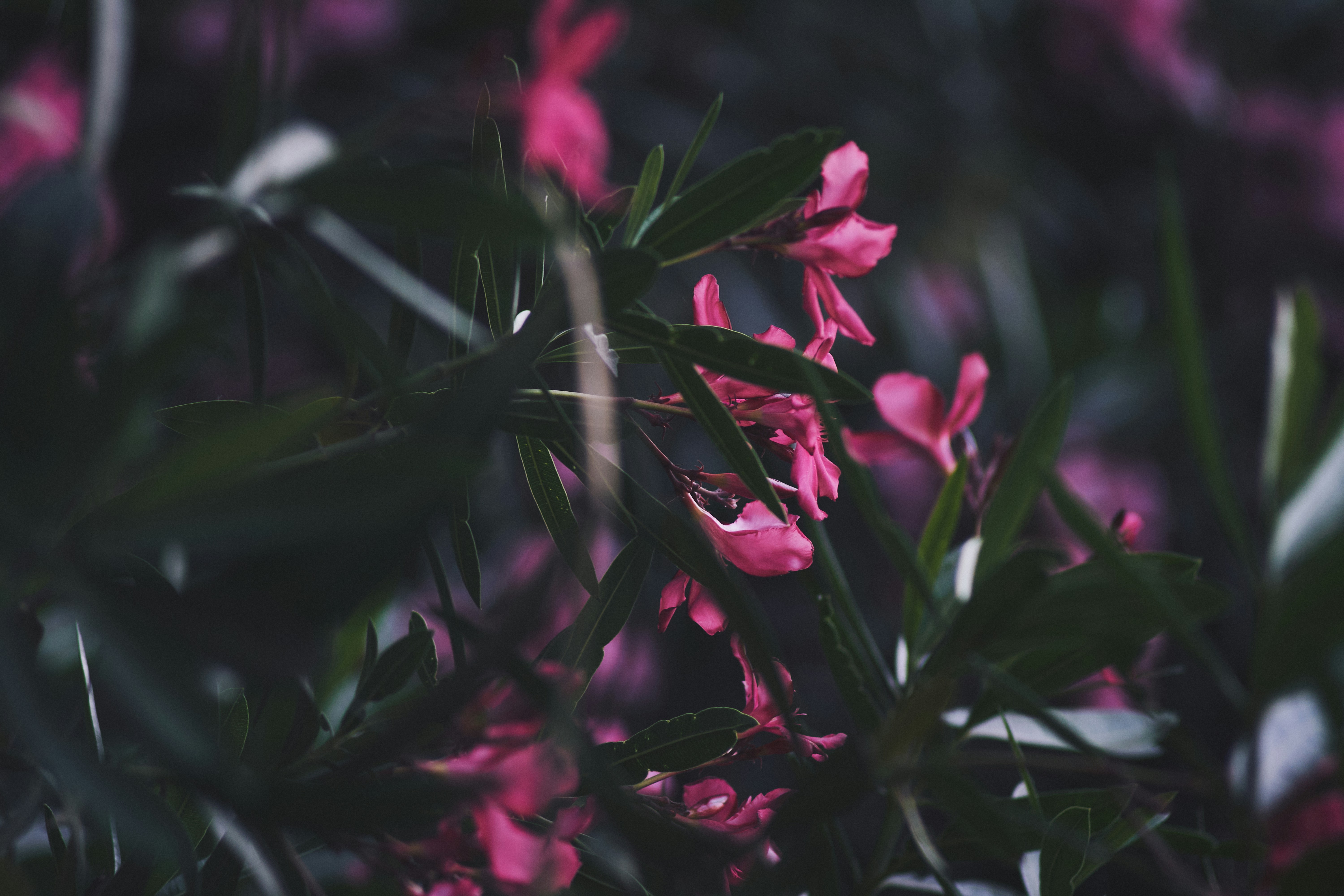 Photo by mikhailrepin