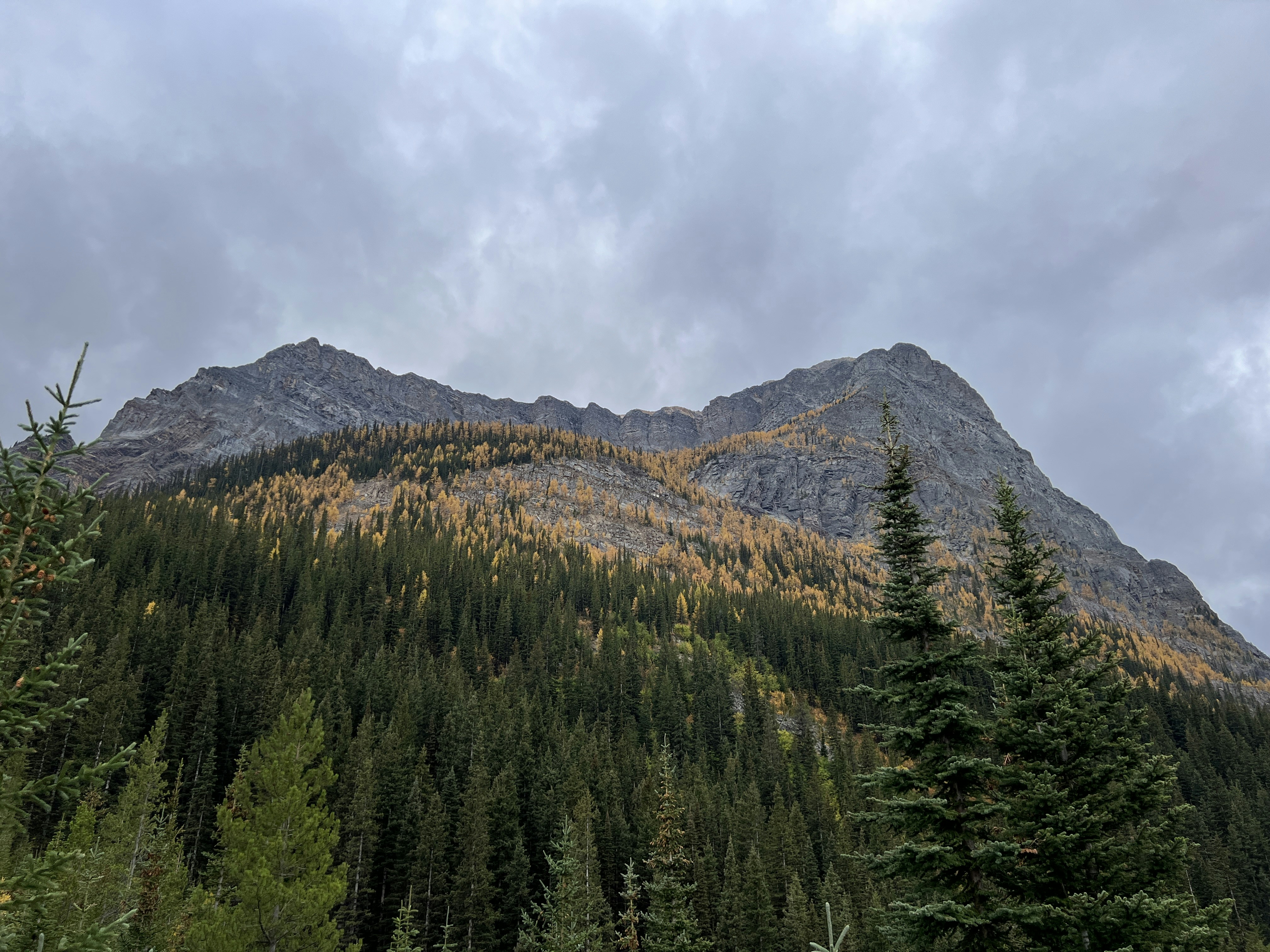 Photo by william_vdg