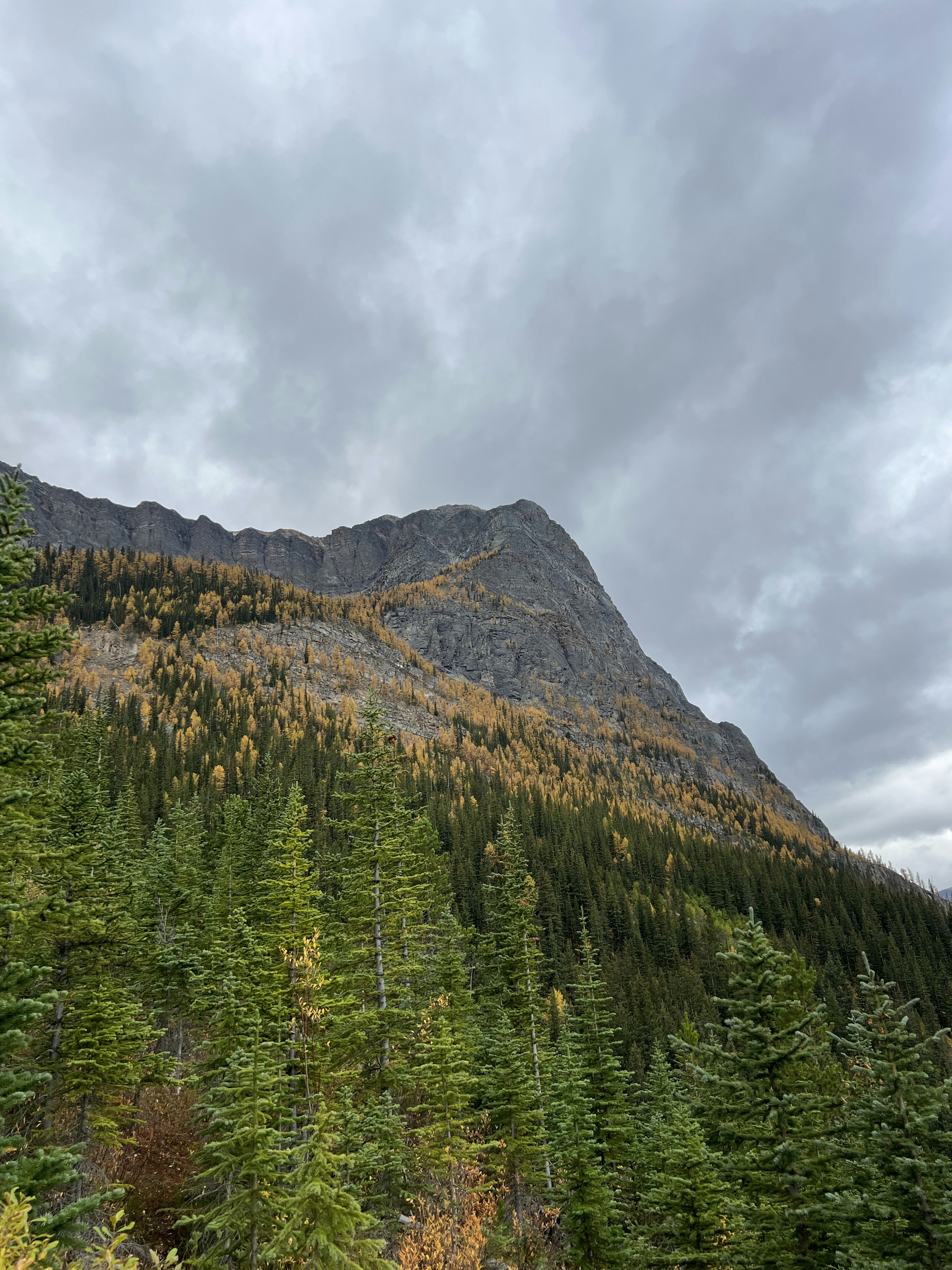 Berge und Bäume unter einem bewölkten Himmel.