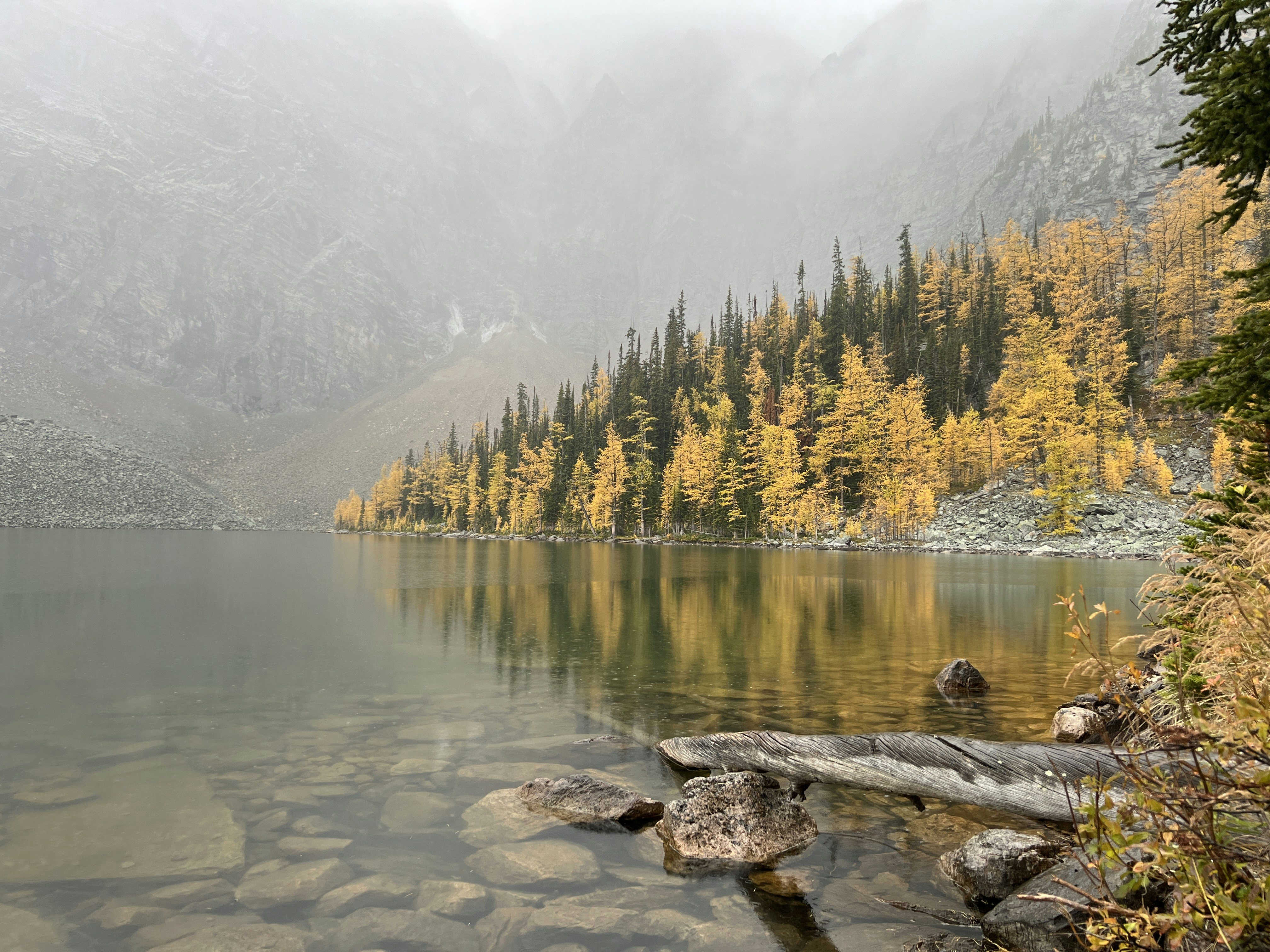 Photo by william_vdg