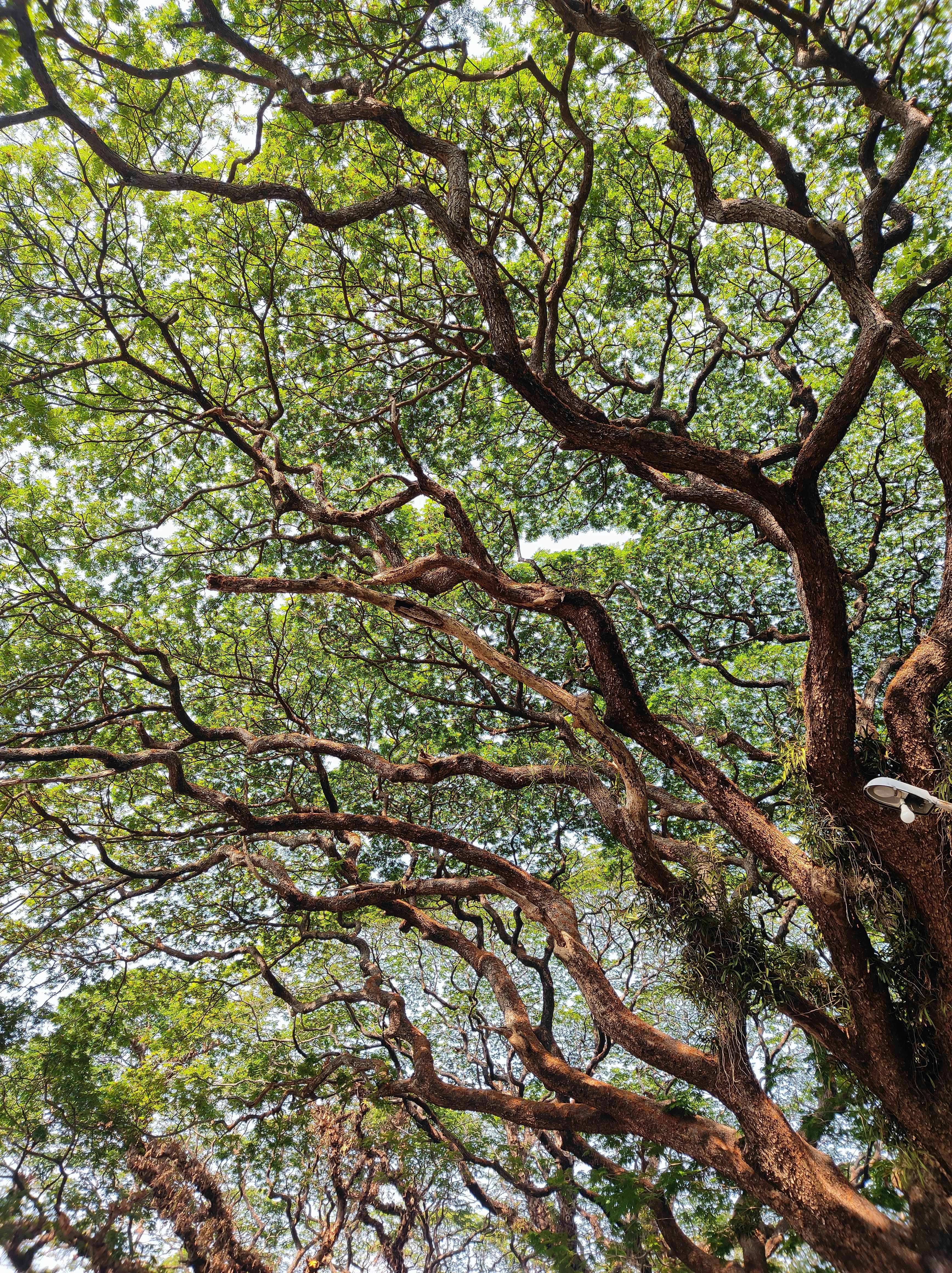 Photo by wanderingindian