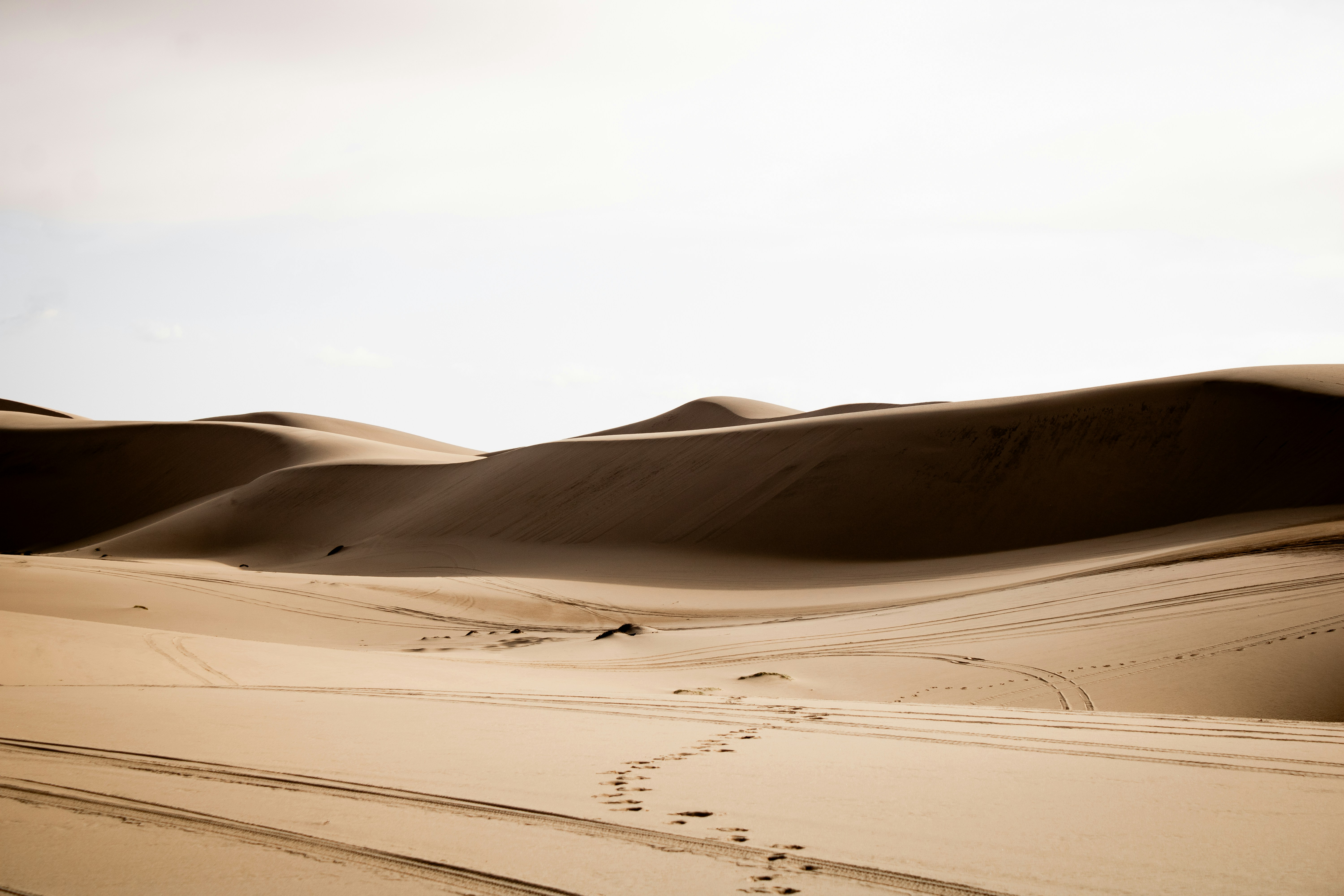 Photo by coekieshots