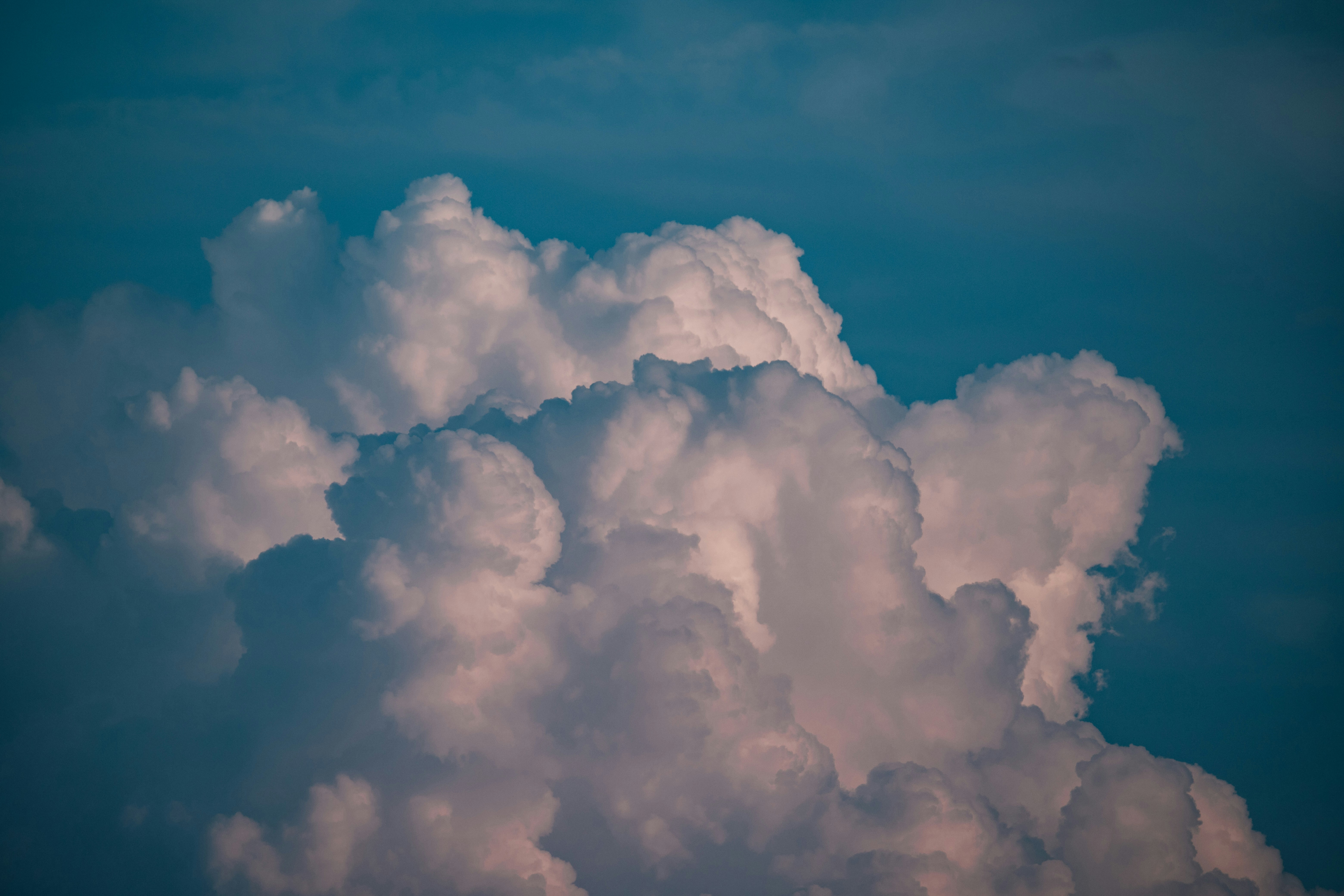 Photo by shutter_speed_