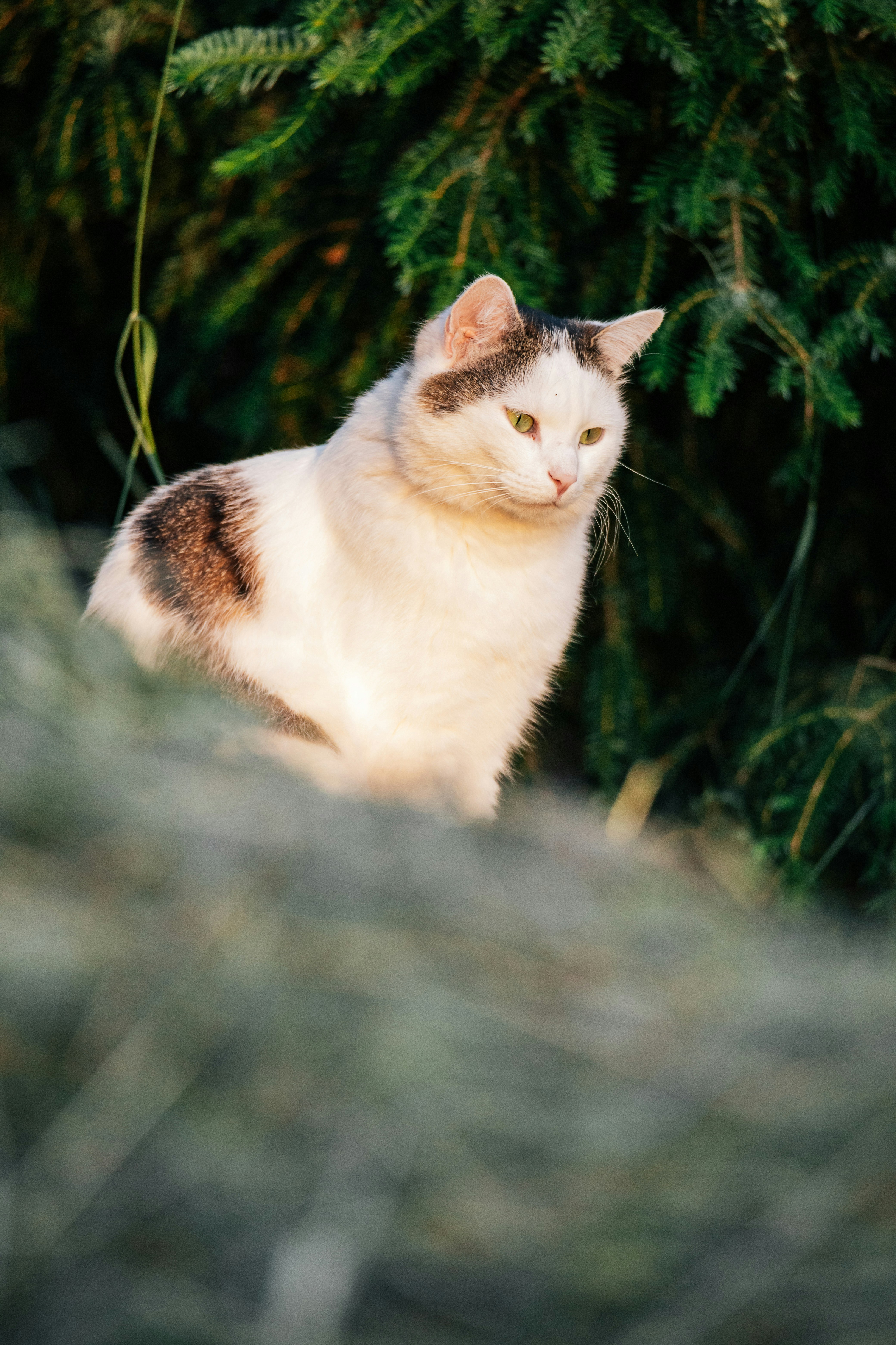 Photo by shutter_speed_