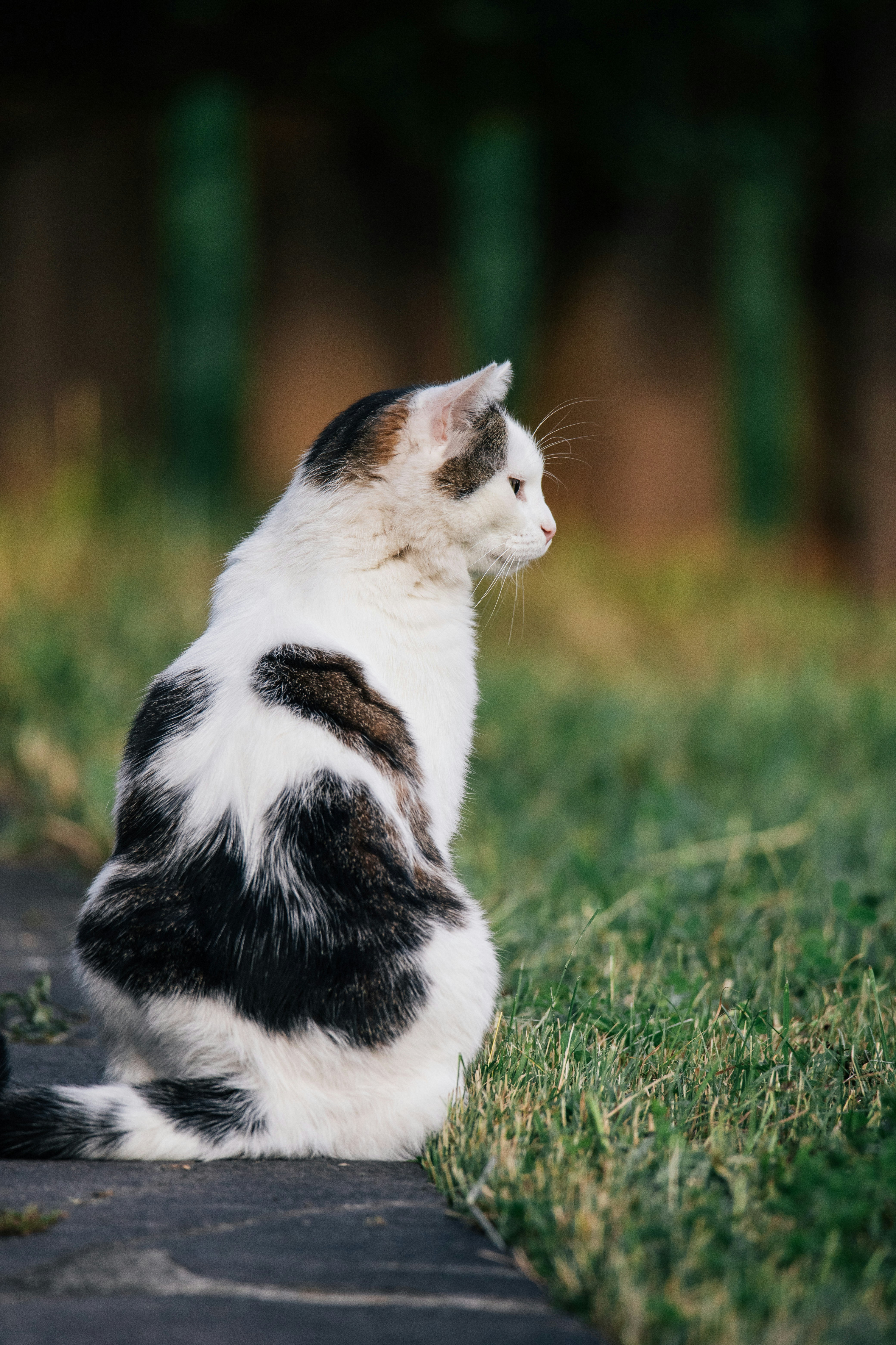 Photo by shutter_speed_