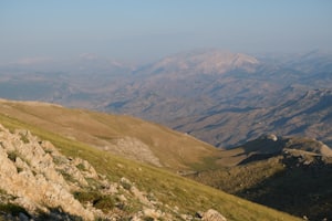 Bursa