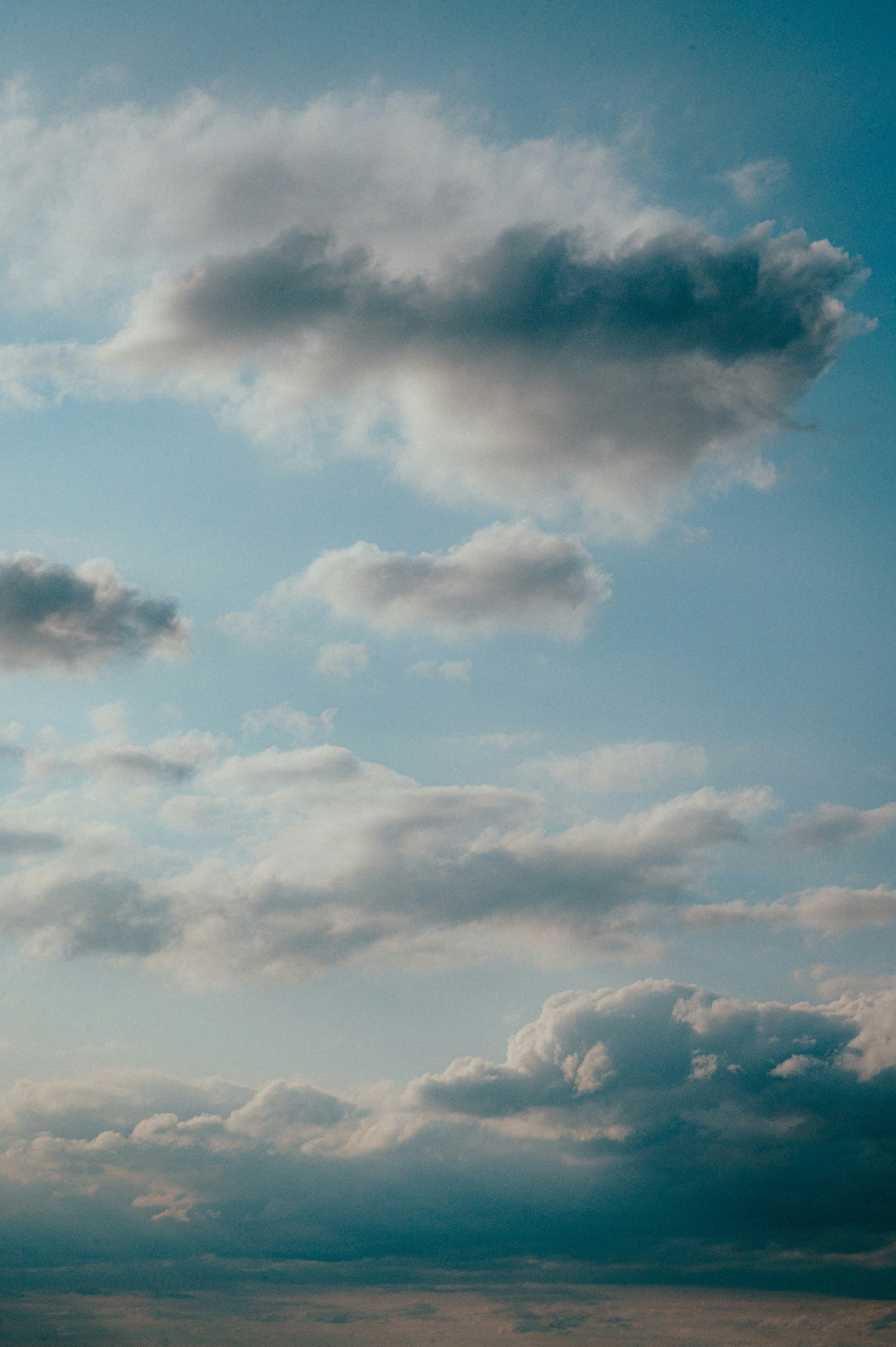 Photo by luca_severin