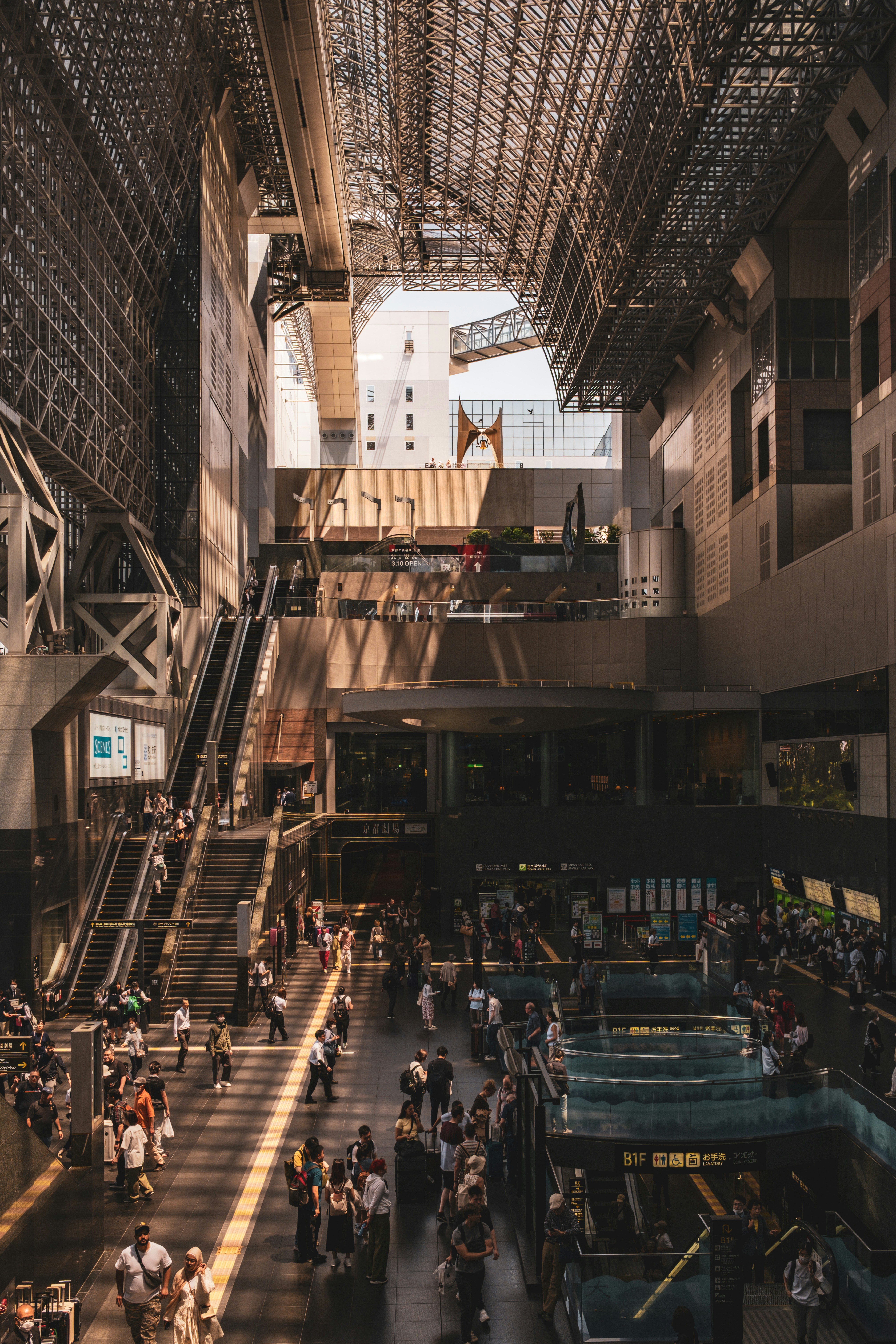 Photo by cat_failed54