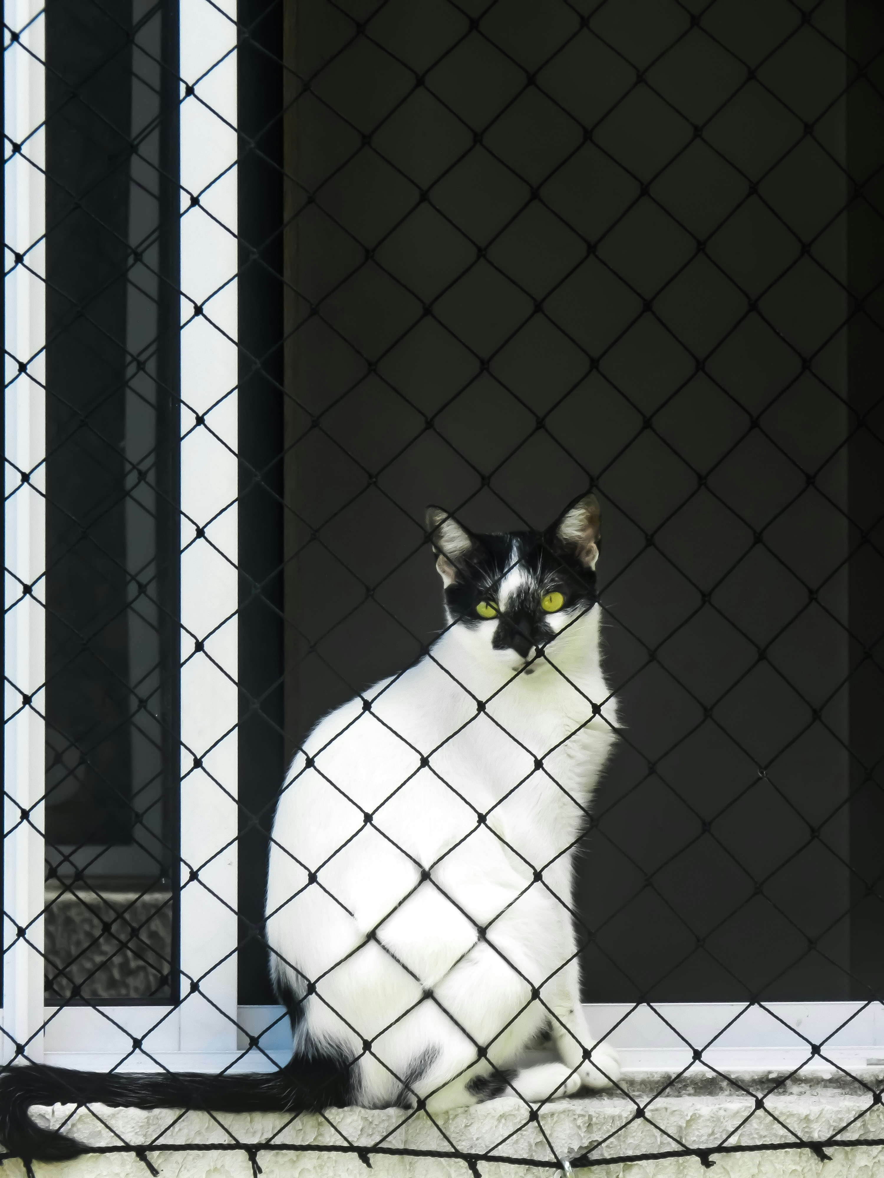 Photo by amandasolliz