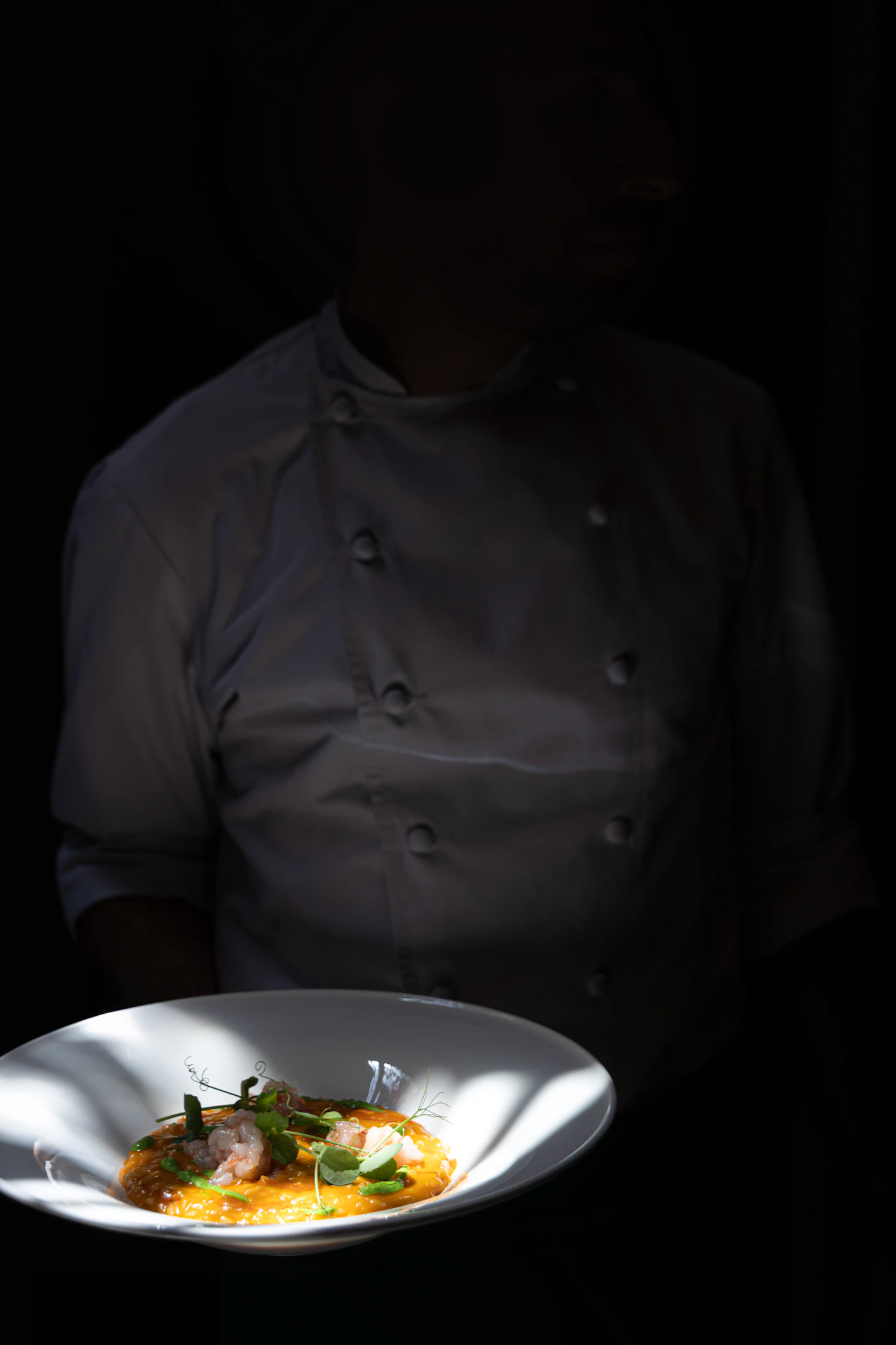 Chef presenting a meticulously plated dish