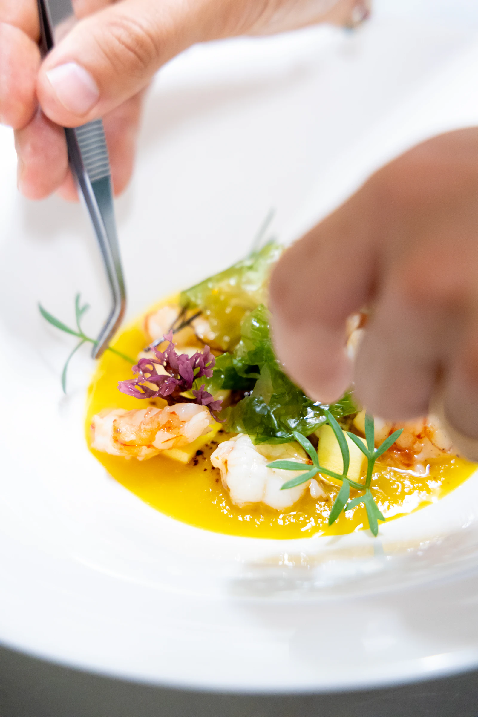 Chef plating a gourmet dish with fresh greens