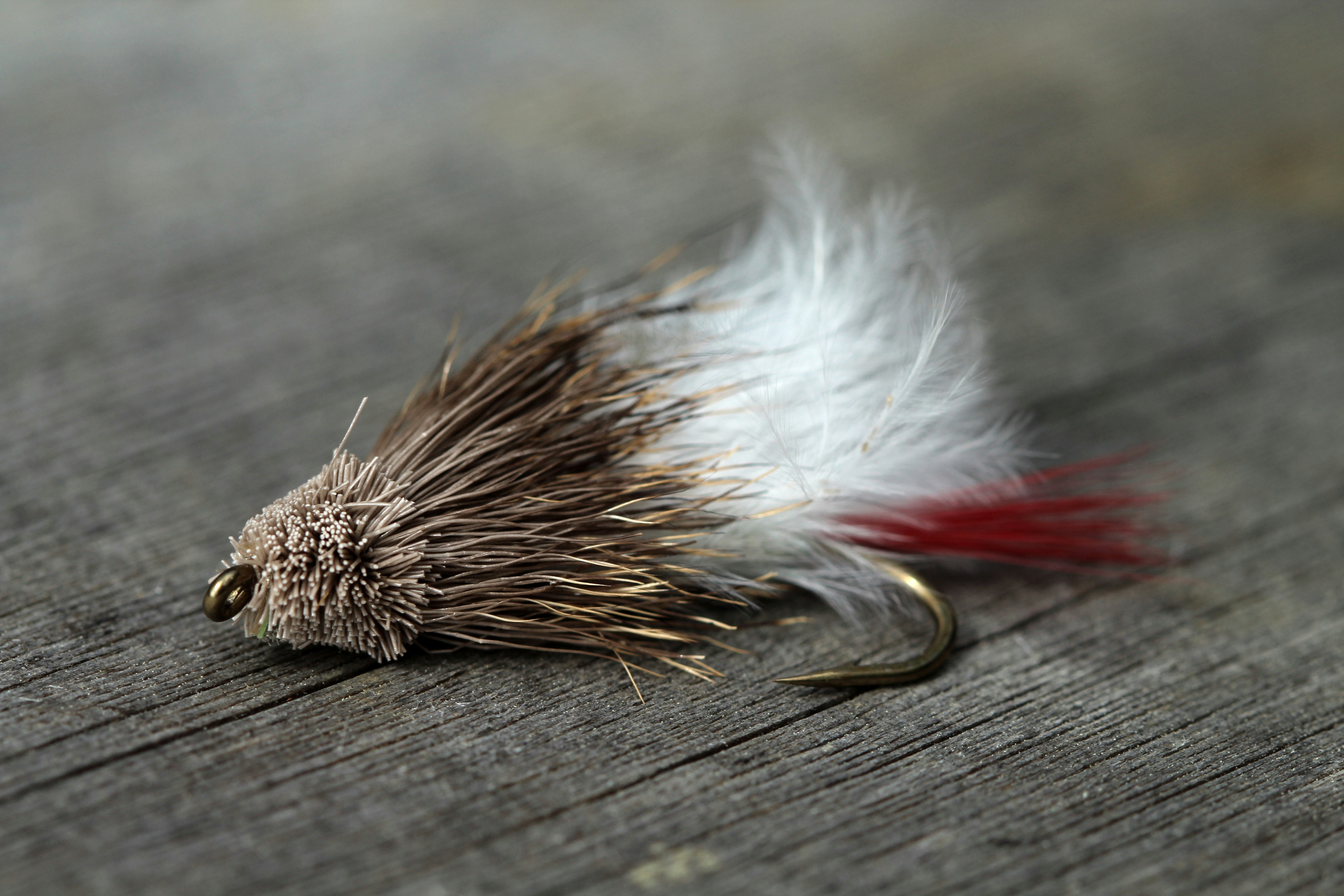 Close-up of a marabou muddler minnow fly tied for targeting trout and smallmouth bass.