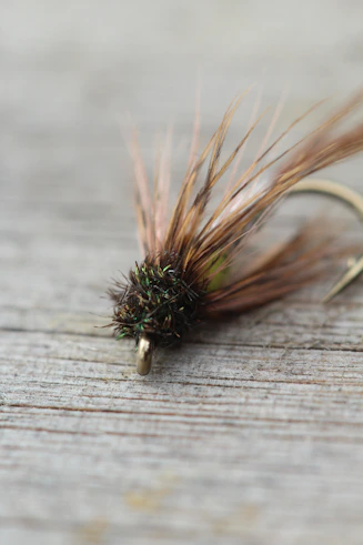 A detailed close-up of a fly fishing fly.
