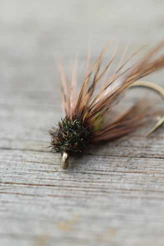 A detailed close-up of a fly fishing fly.