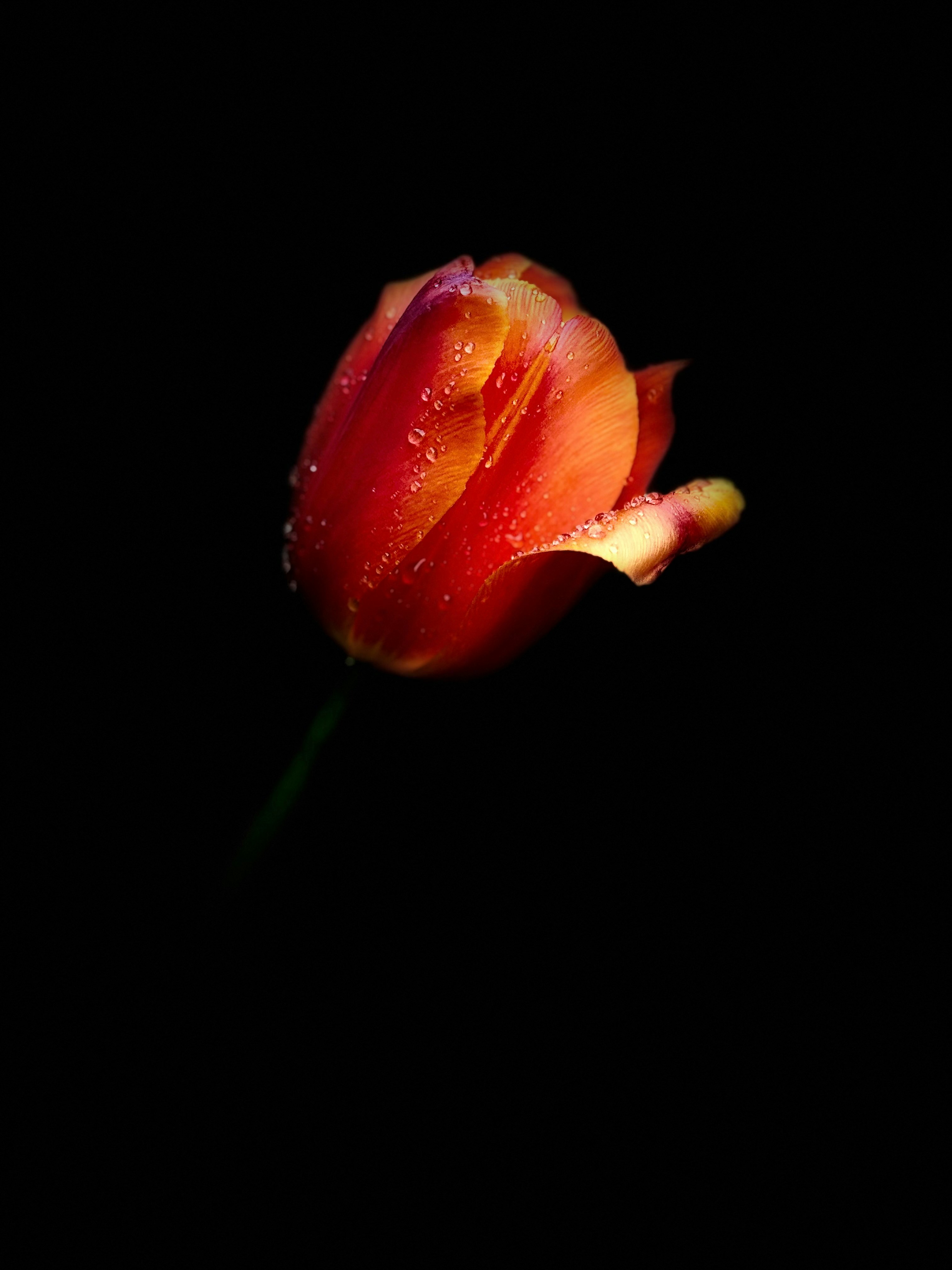 Photo by shirqille_tisi