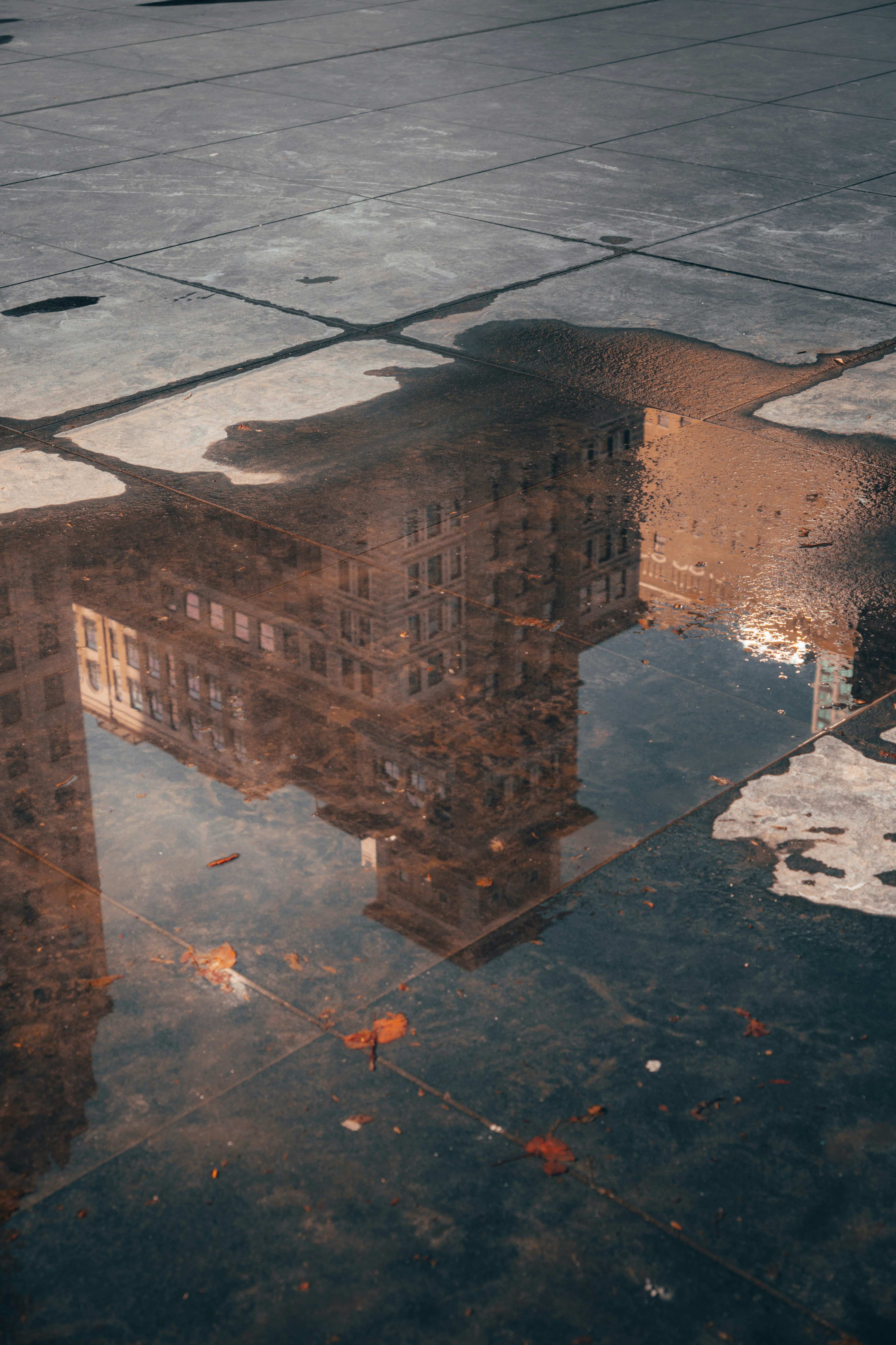 Photo by electerious
