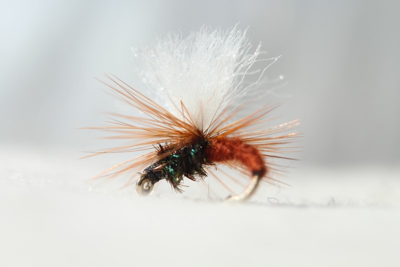 Fly Tying Workshops