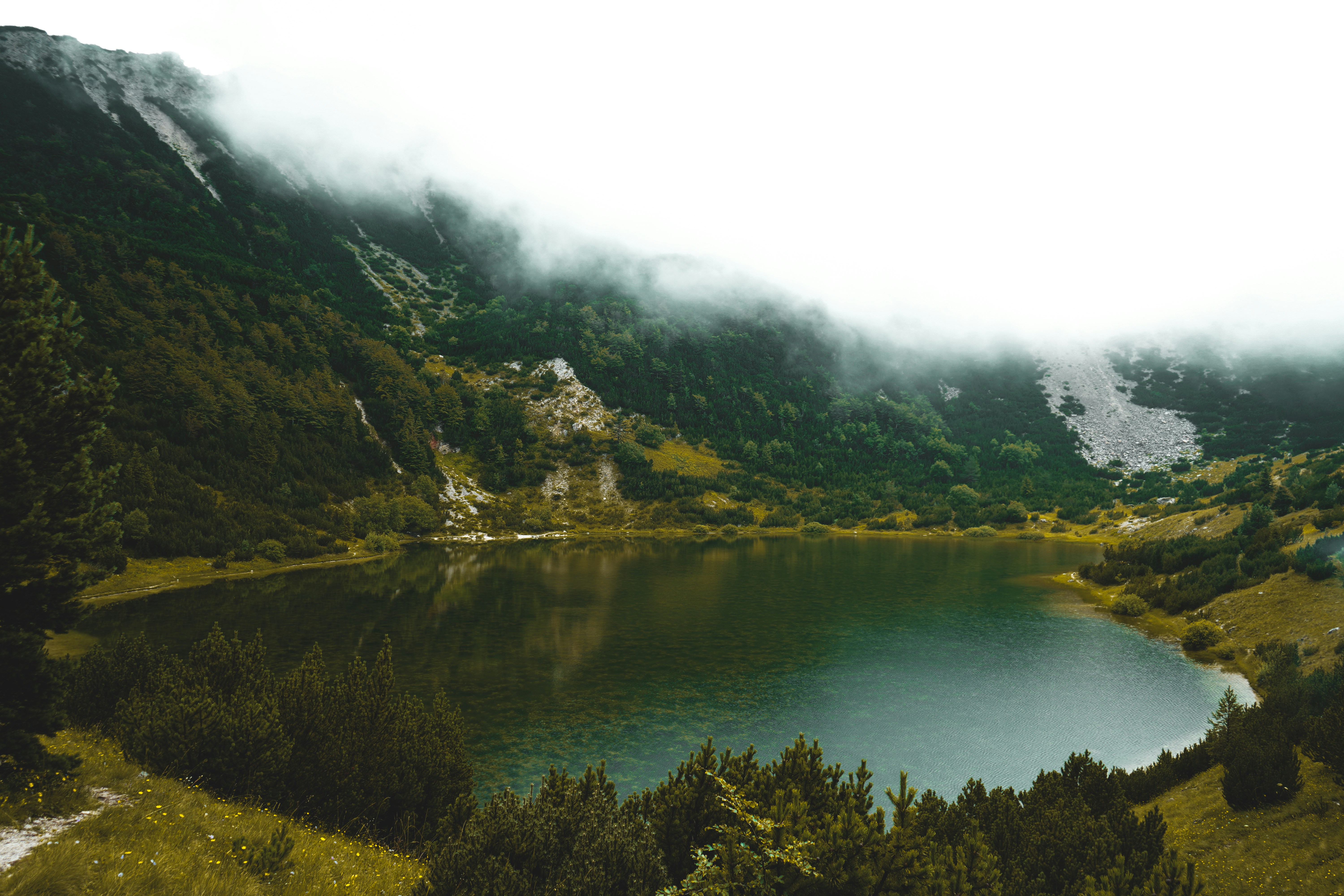 Photo by zm_fotographie