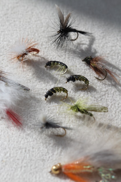 Here's a caption: fly fishing flies of various kinds are shown.