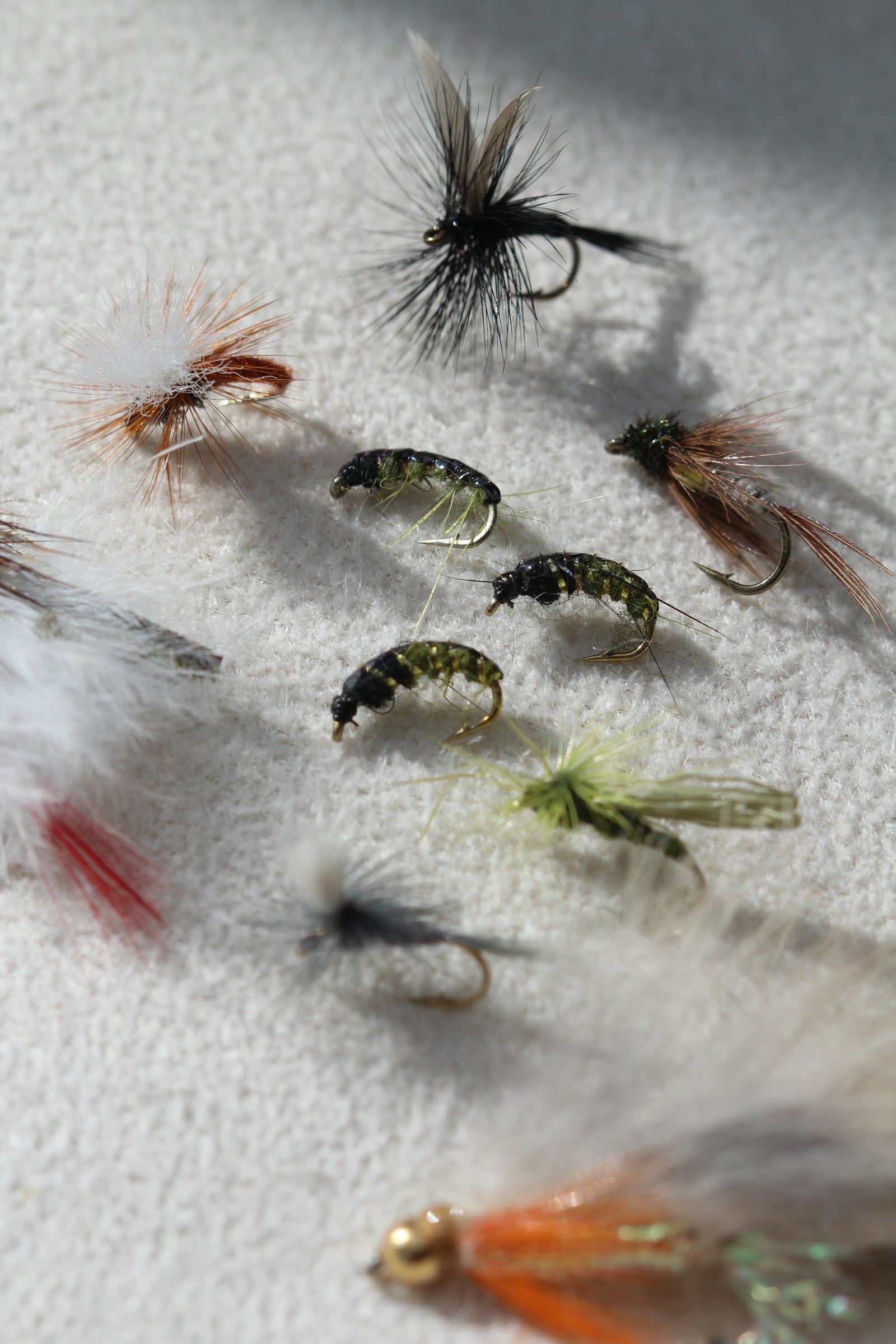Assorted dry flies and nymphs in a fly box — Colorado tailwater patterns