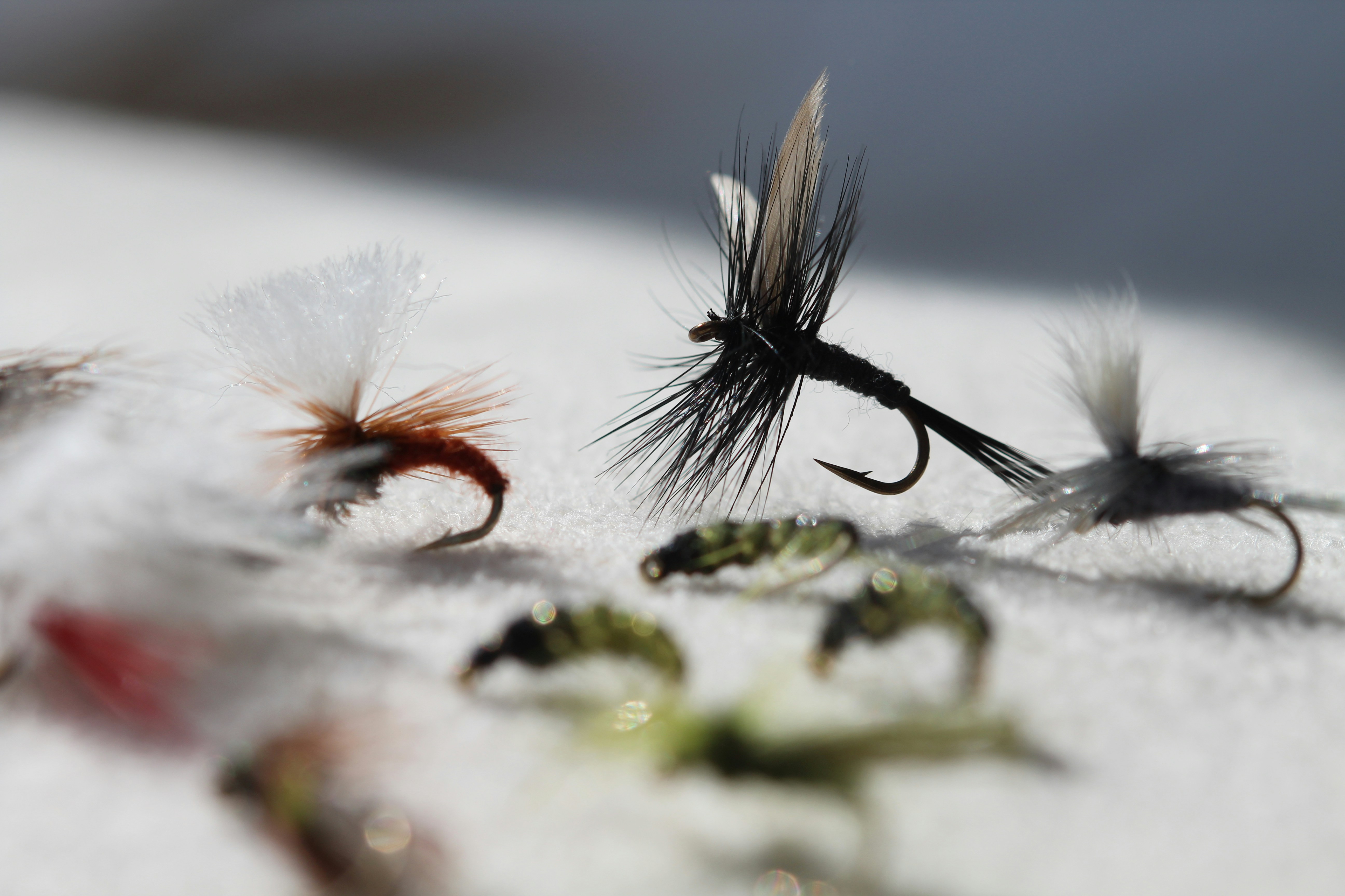 Several fishing flies are shown on a white surface.