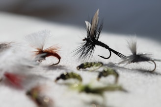 Several fishing flies are shown on a white surface.
