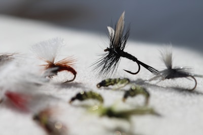 Several fishing flies are shown on a white surface.