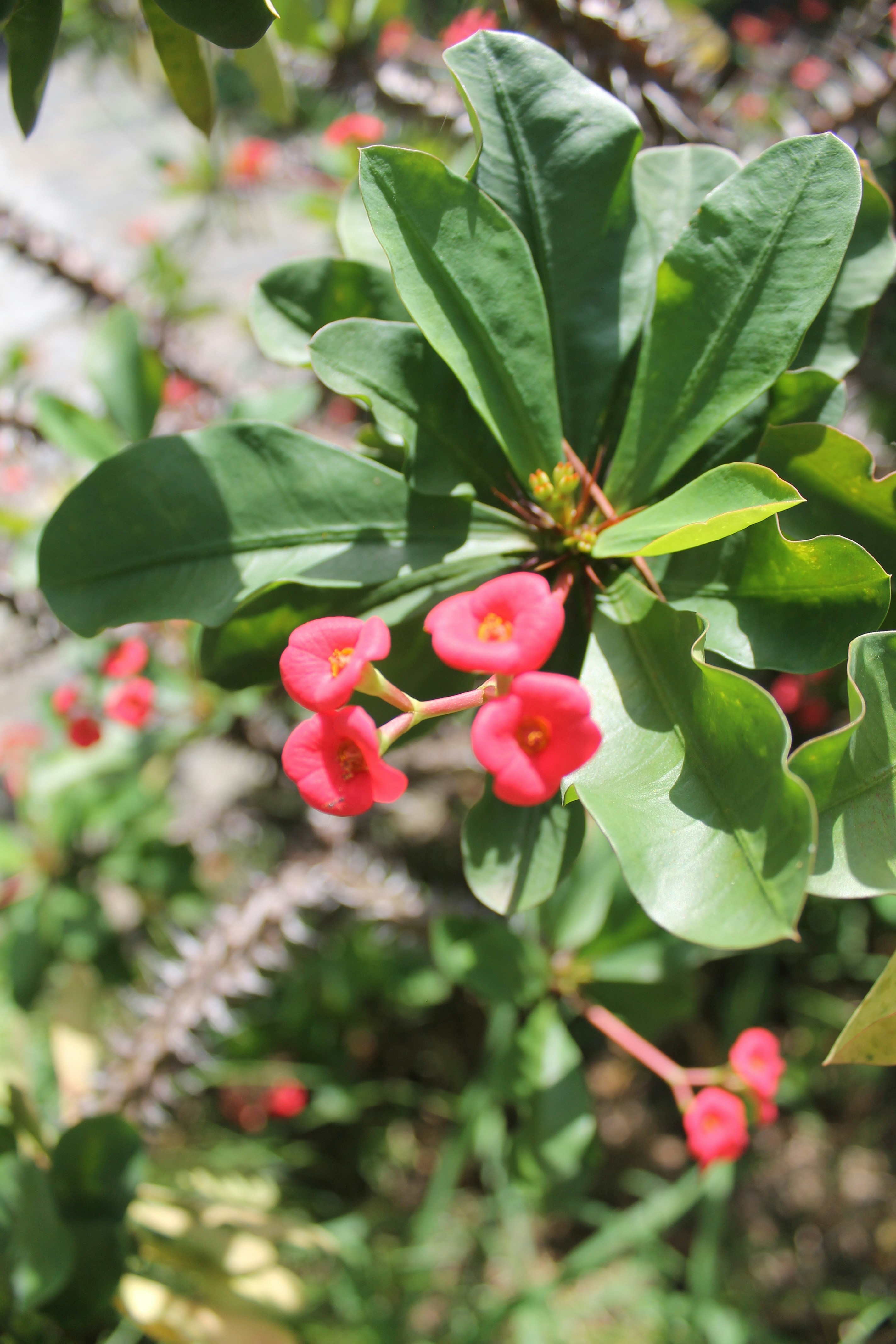 Photo by capturedbybelle