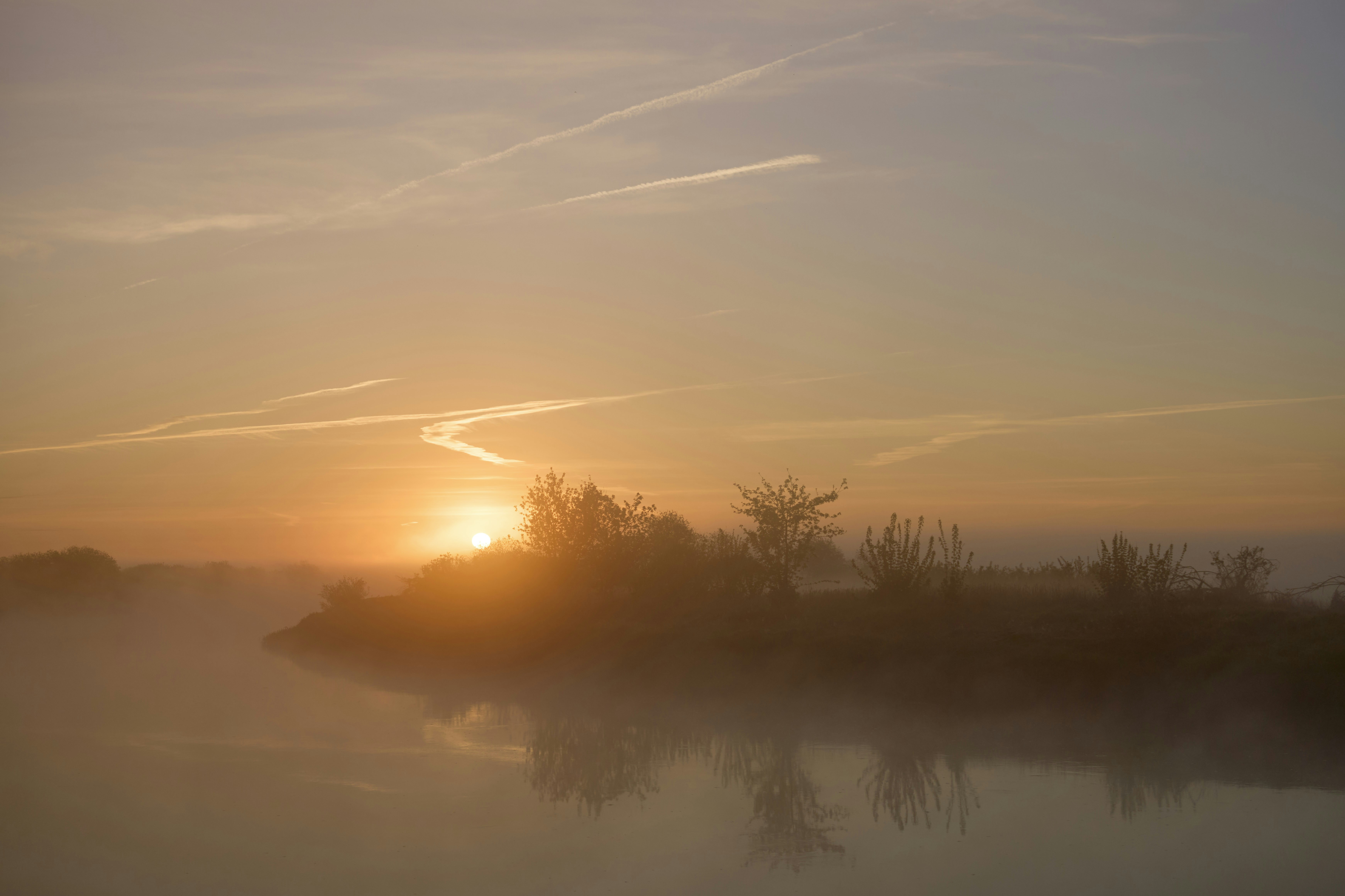 Photo by wolfgang_hasselmann