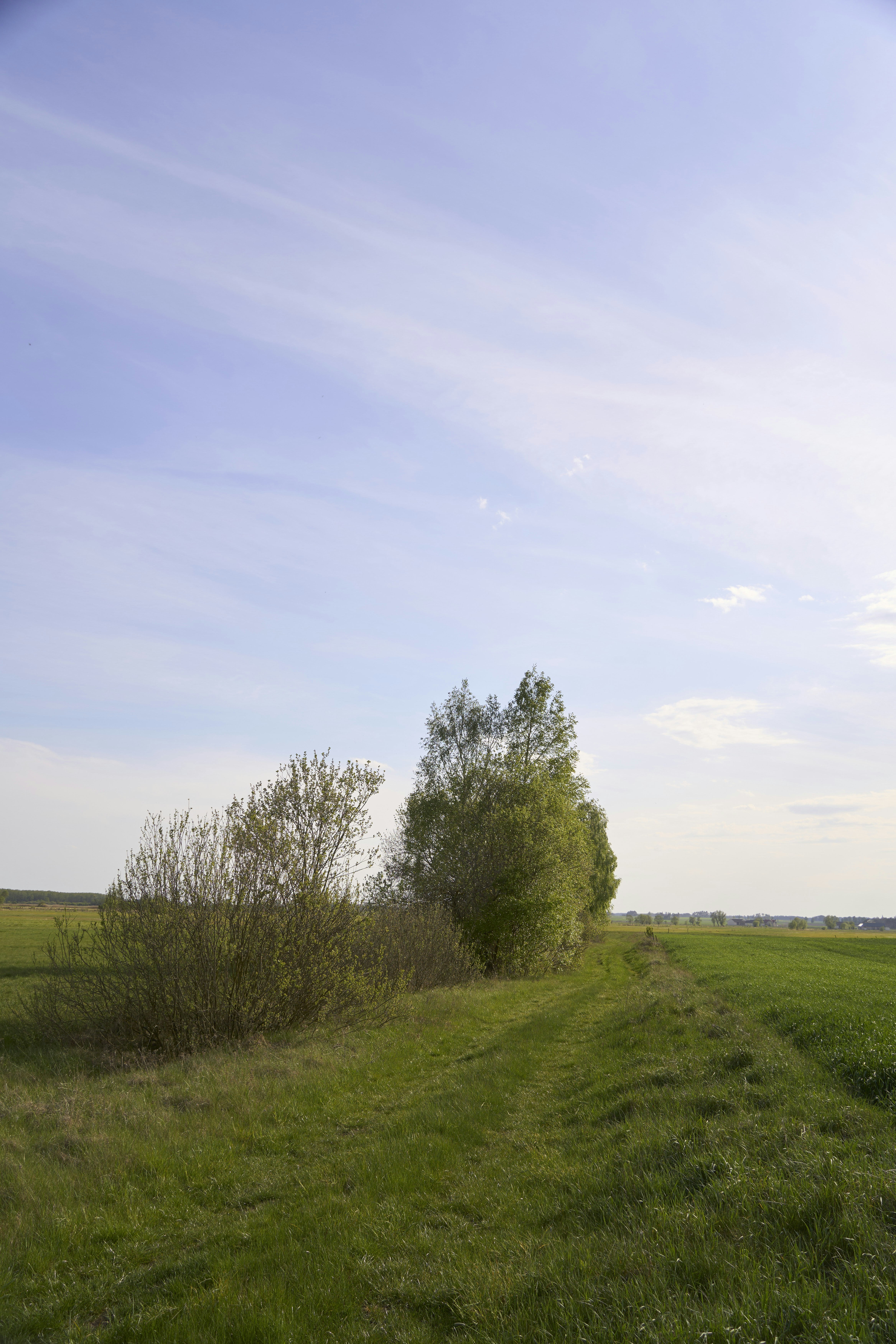 Photo by wolfgang_hasselmann