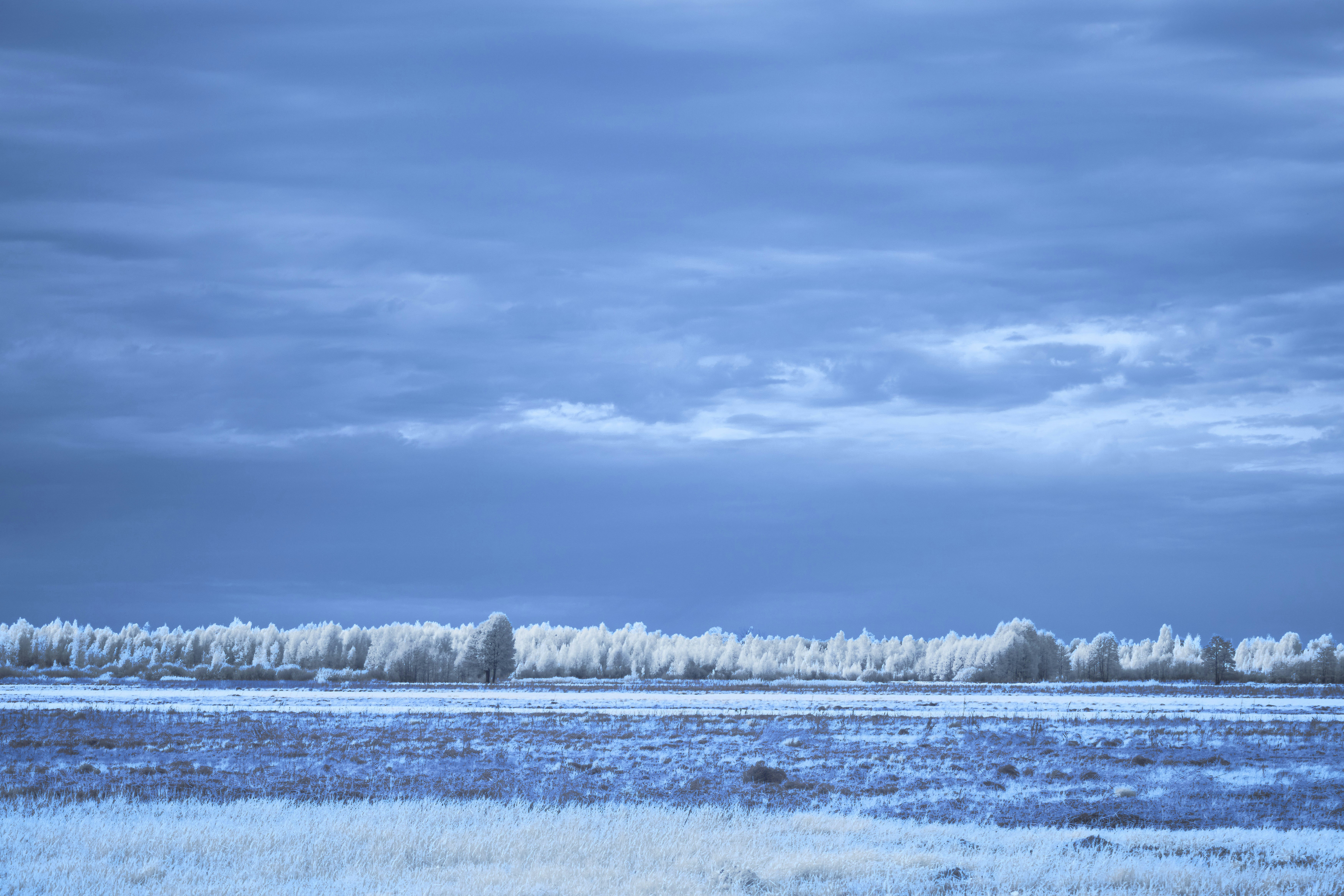 Photo by wolfgang_hasselmann